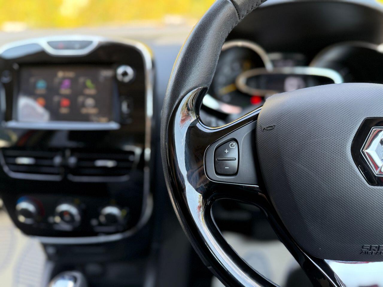 Renault Clio view 29