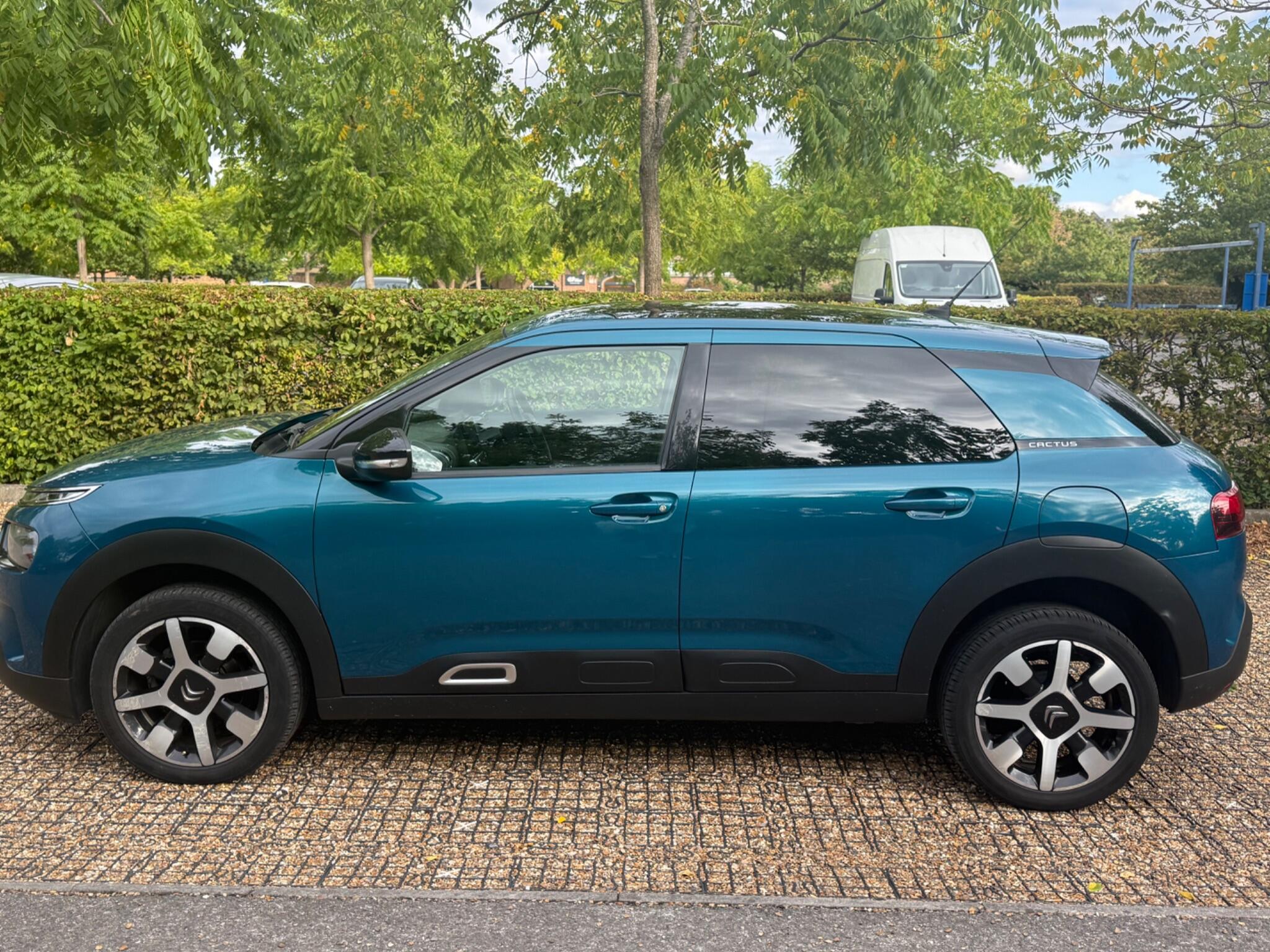 Citroen C4 Cactus view 27
