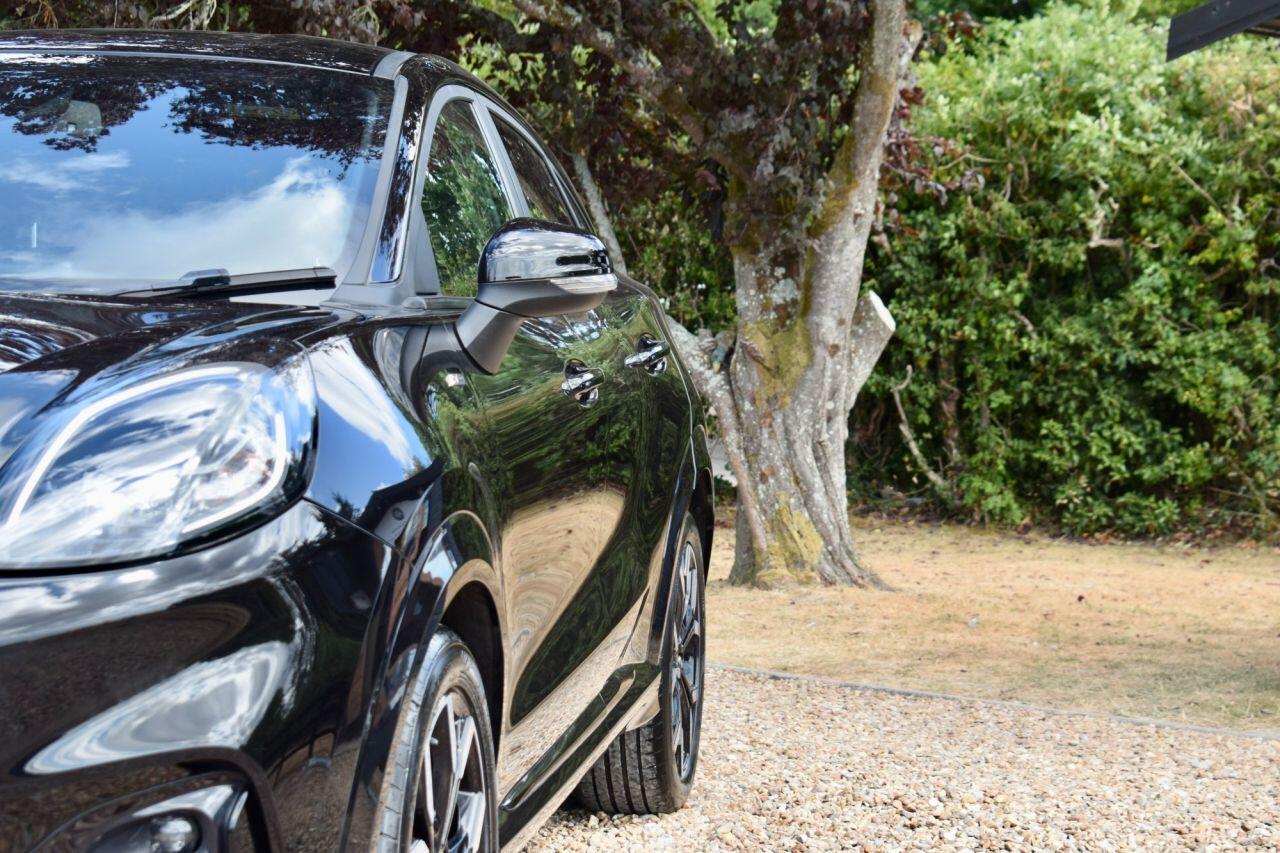 Ford Puma view 19