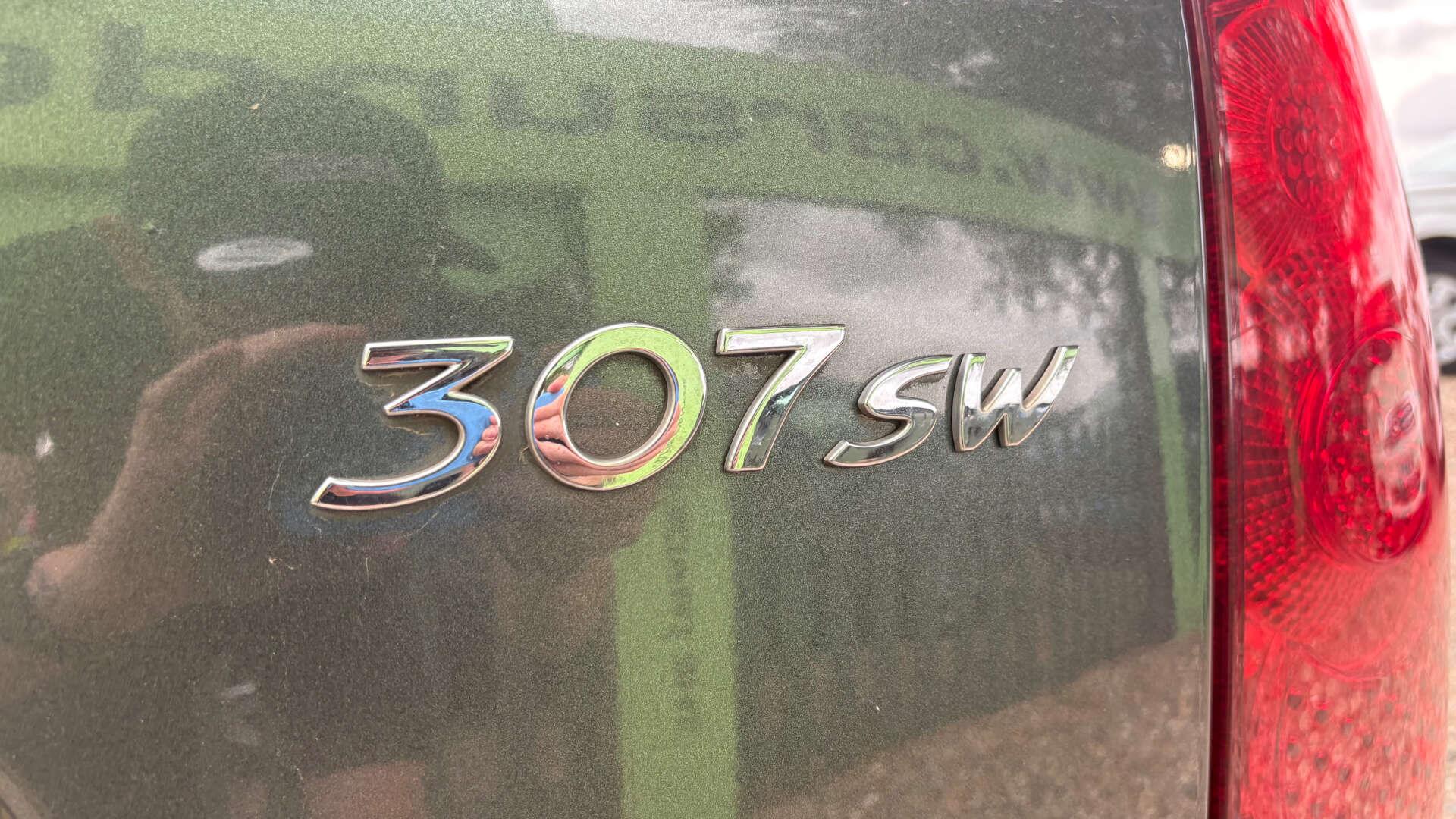 Peugeot 307 view 41