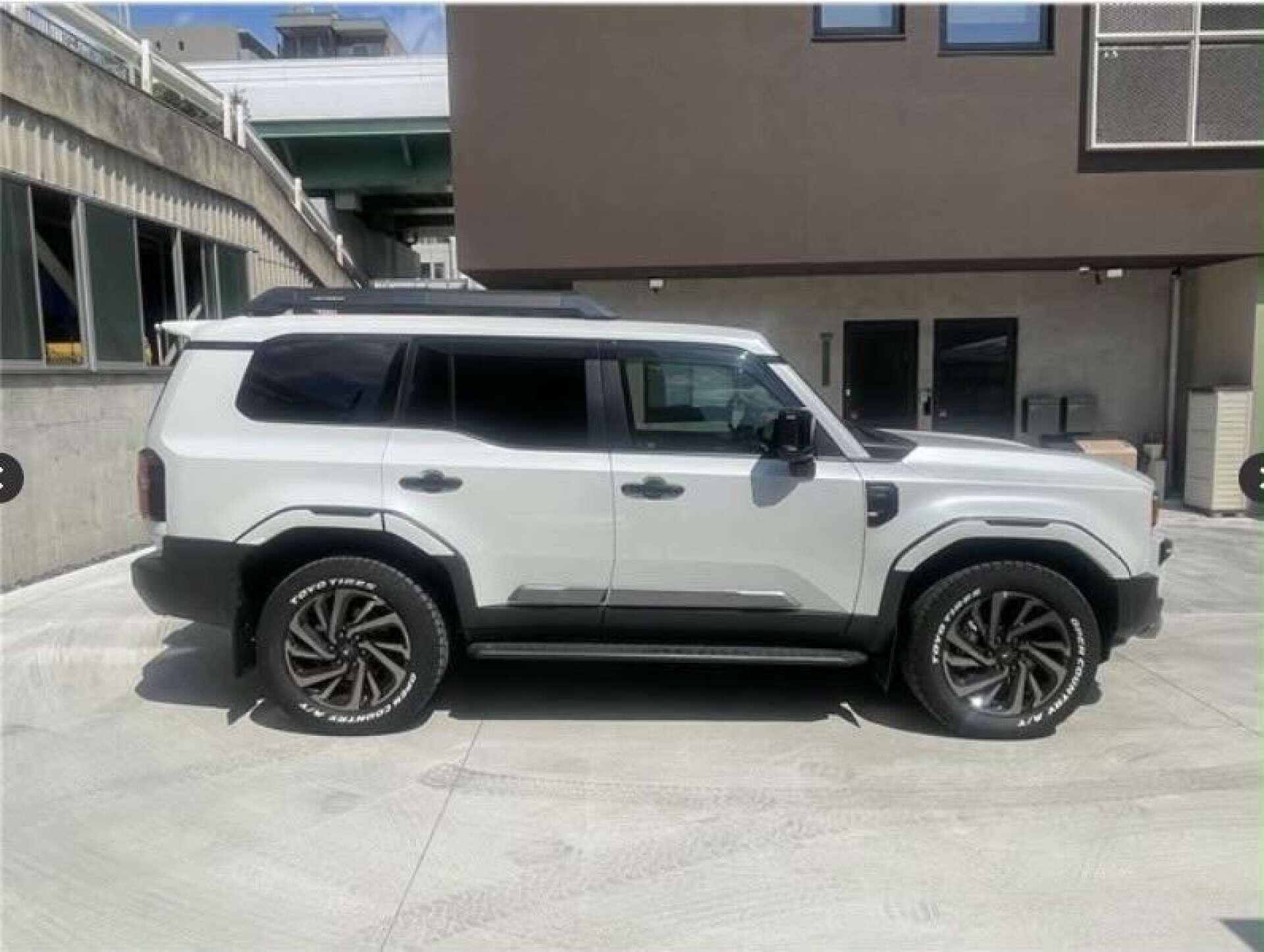Toyota Land Cruiser view 7