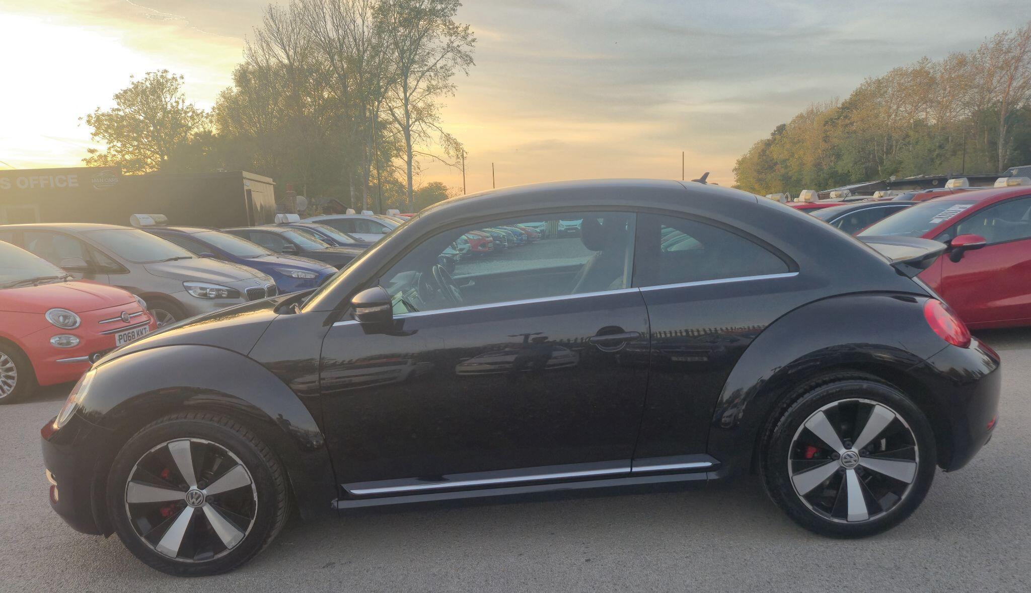Volkswagen Beetle view 7