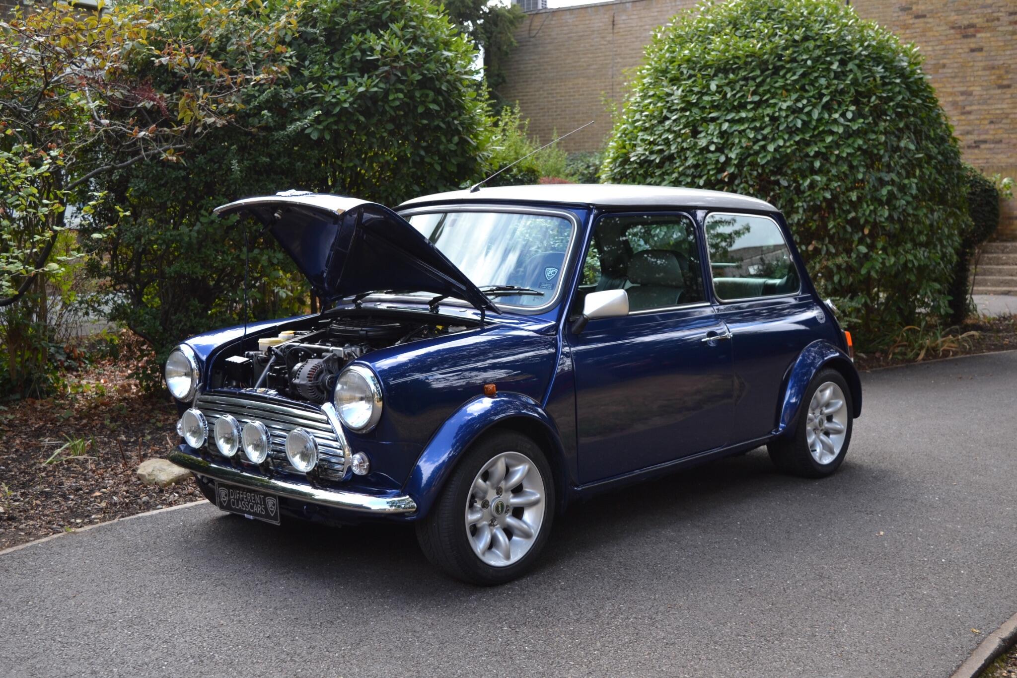 Rover Mini view 46