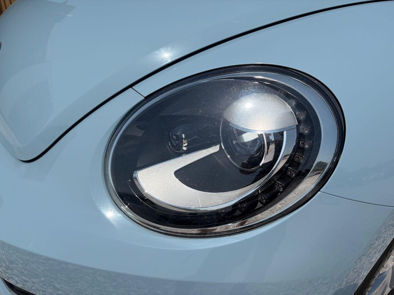 Volkswagen Beetle view 6