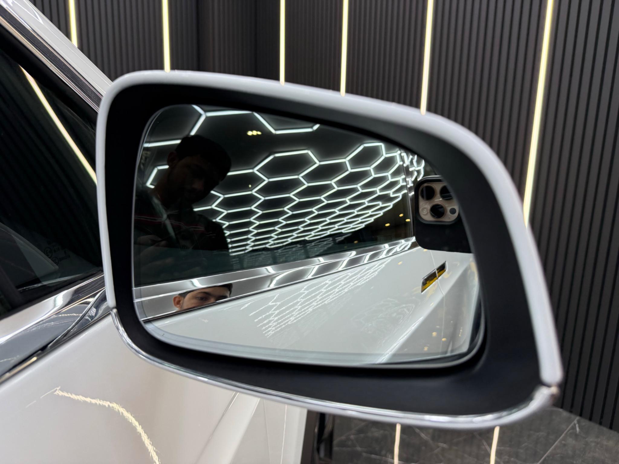 Tesla Model X view 38