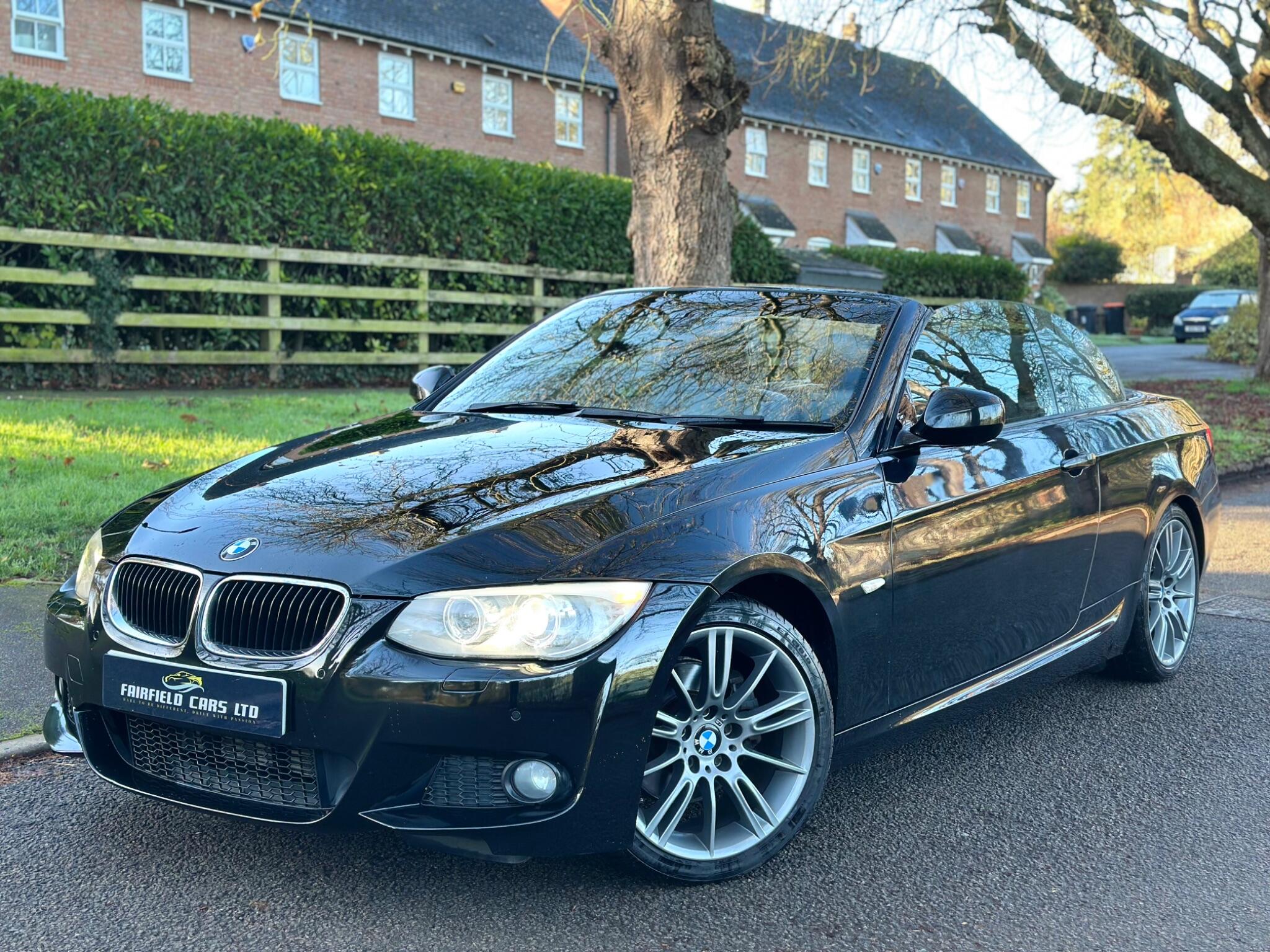 2010 BMW 3 Series image 23