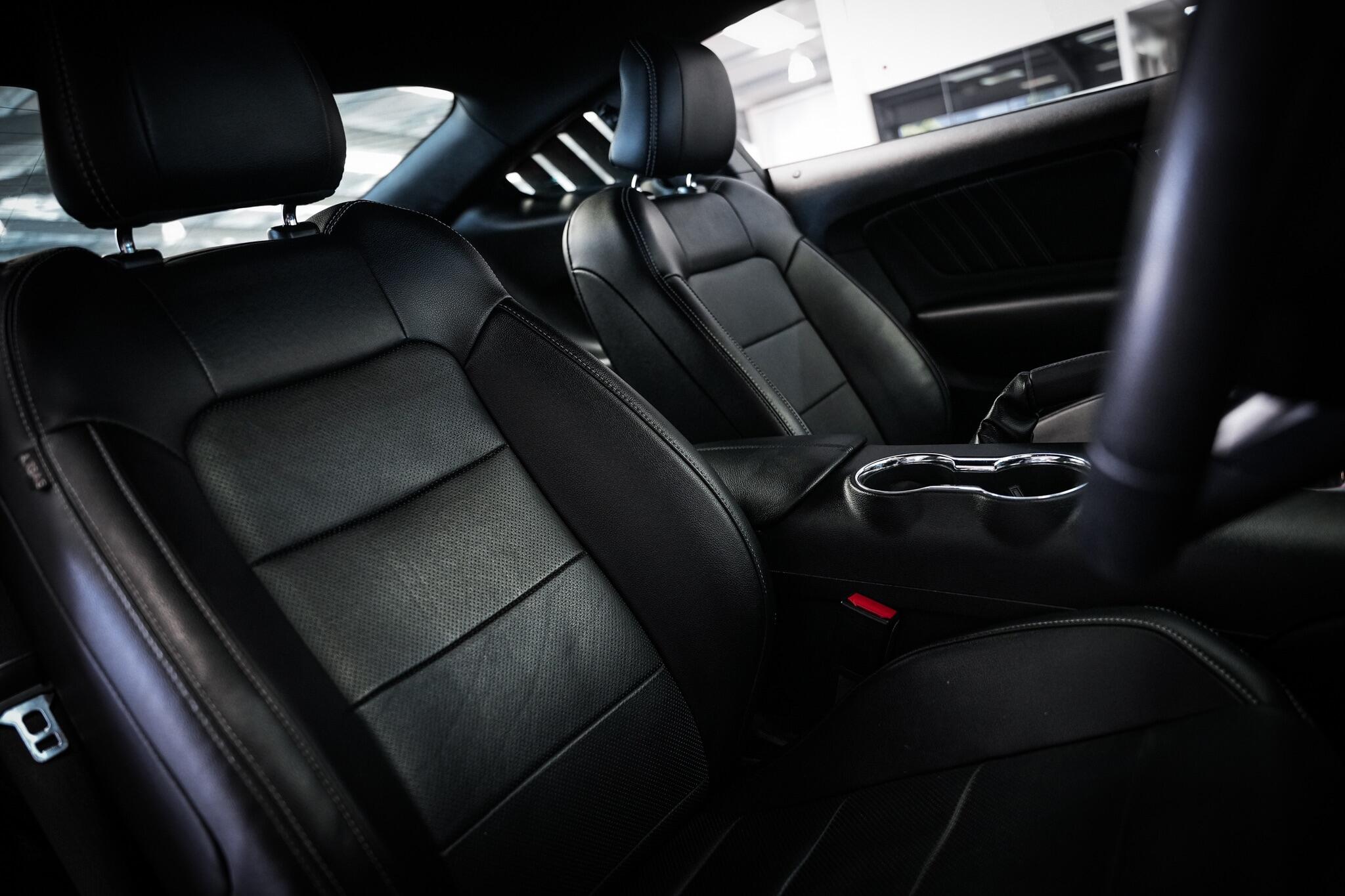 Ford Mustang view 17