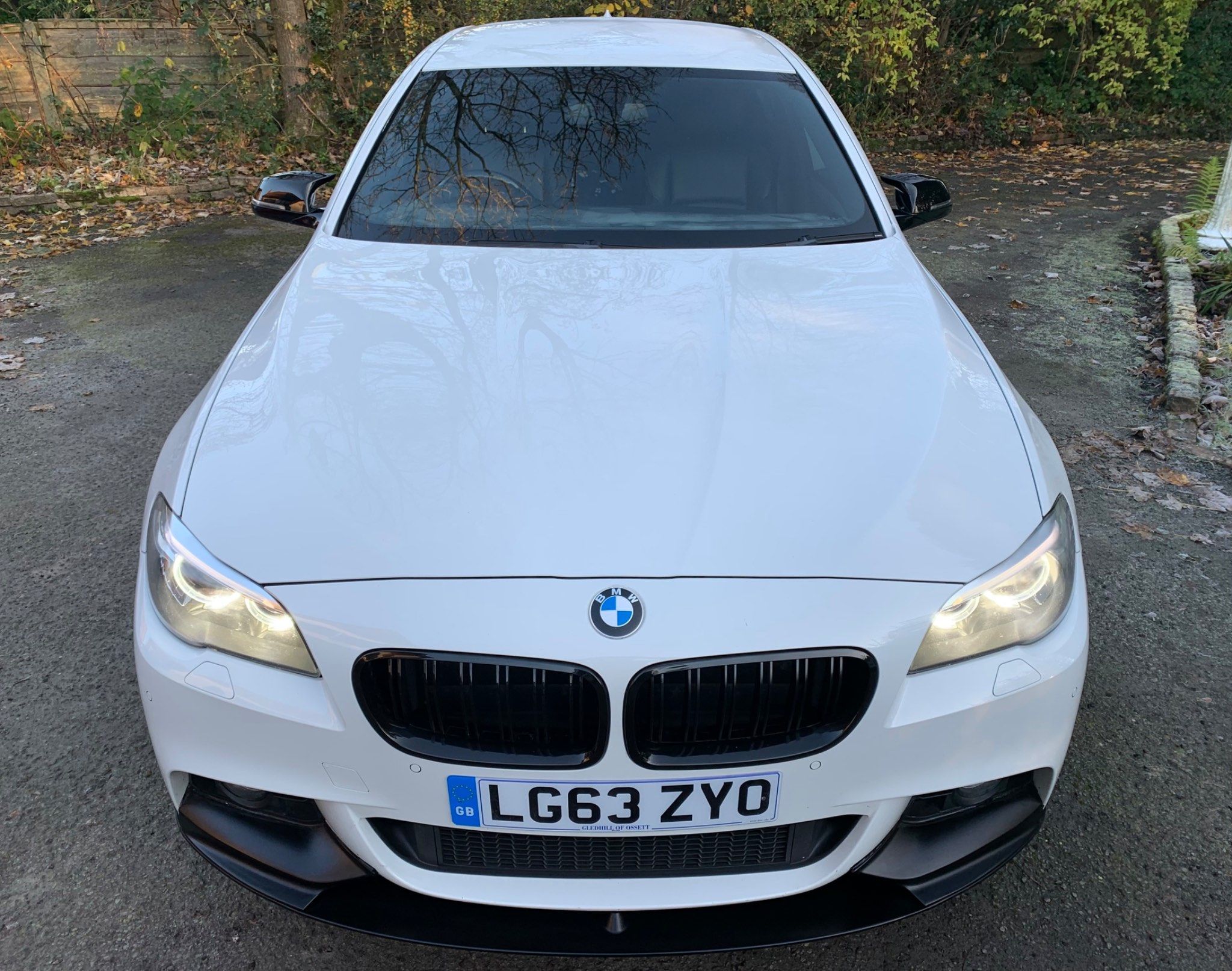 BMW 5 Series view 8
