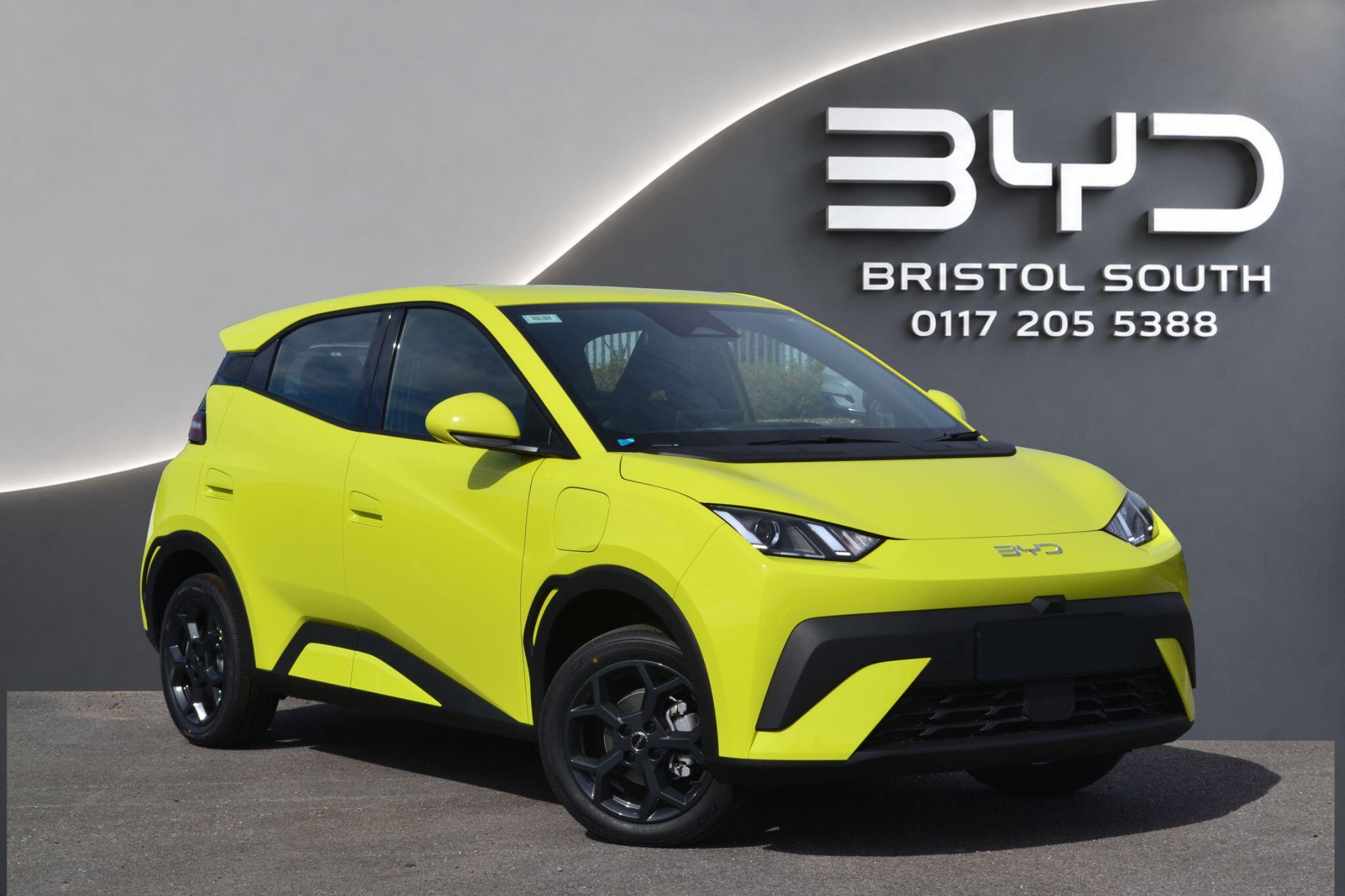 BYD Dolphin Surf