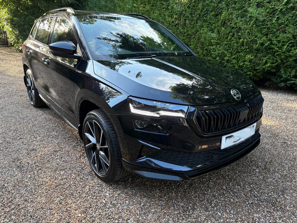 Skoda Karoq view 29