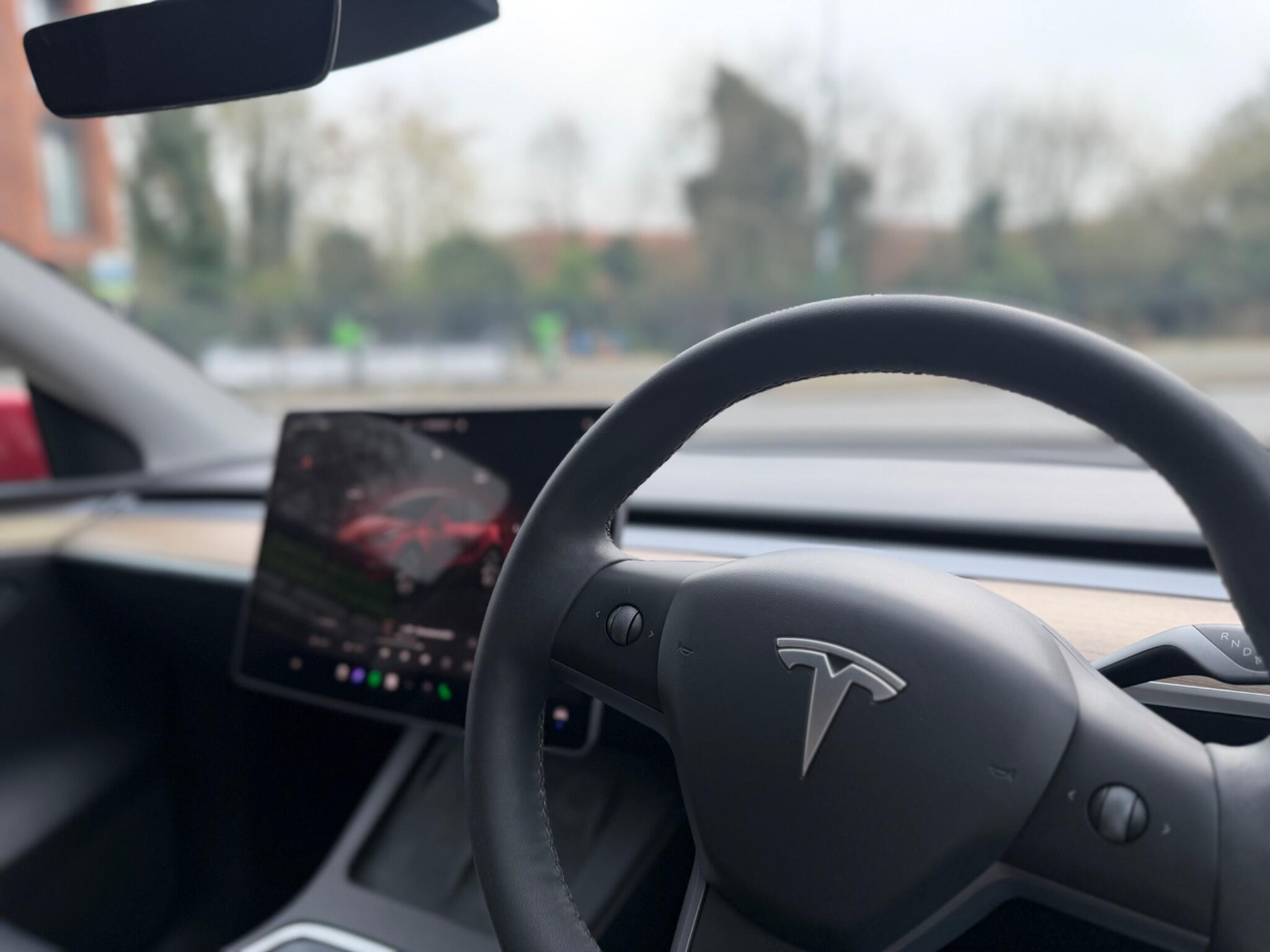 Tesla Model Y view 39