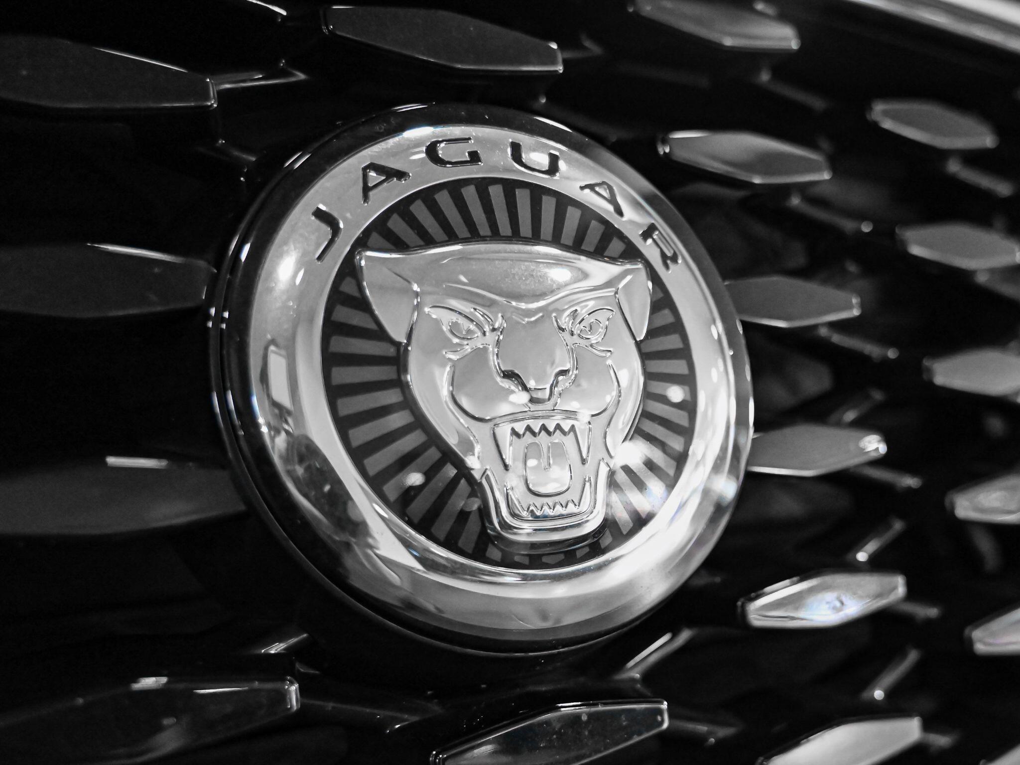 Jaguar F-Pace view 15