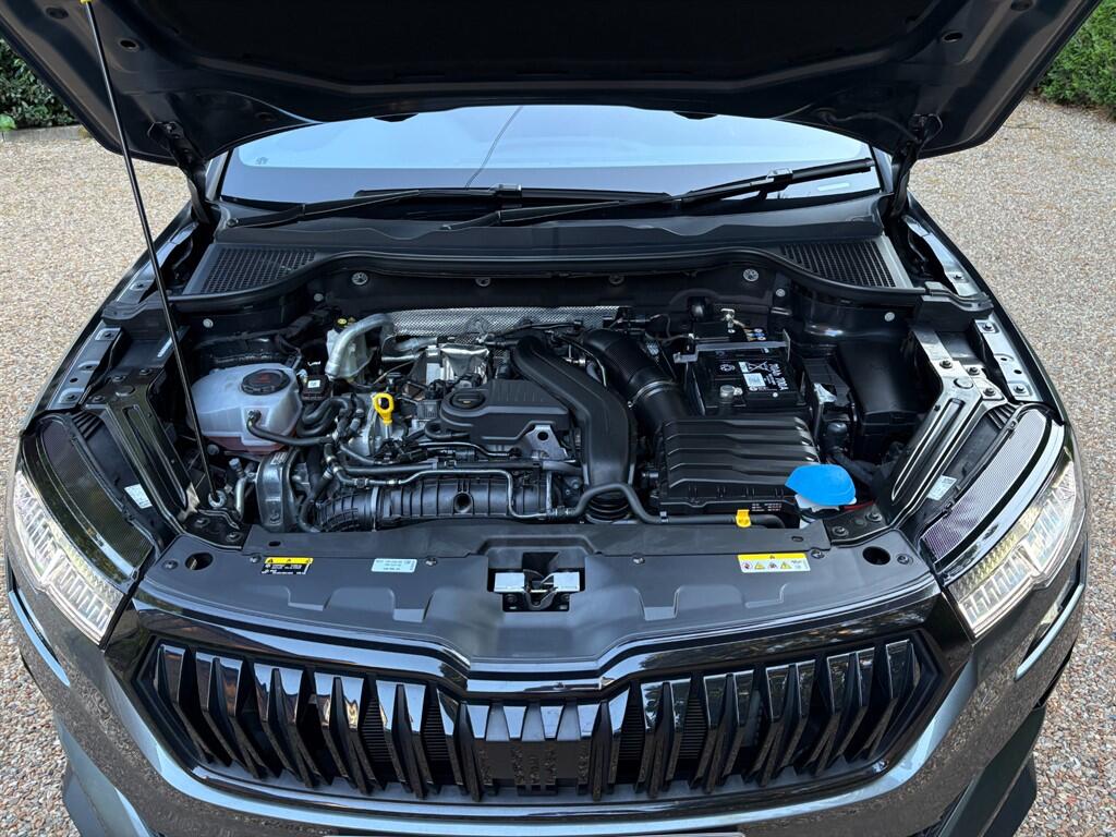 Skoda Karoq view 44