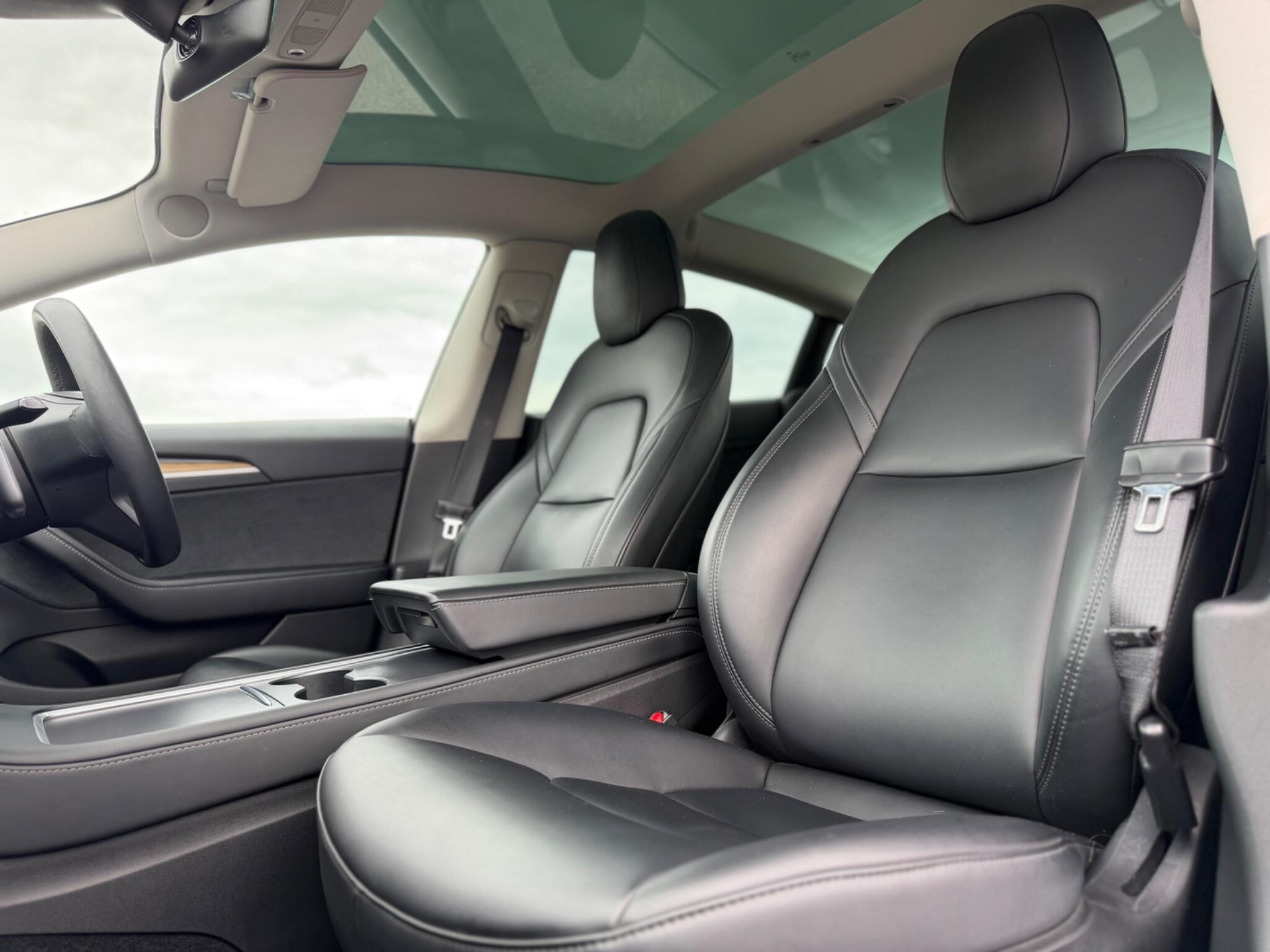 Tesla Model 3 view 10