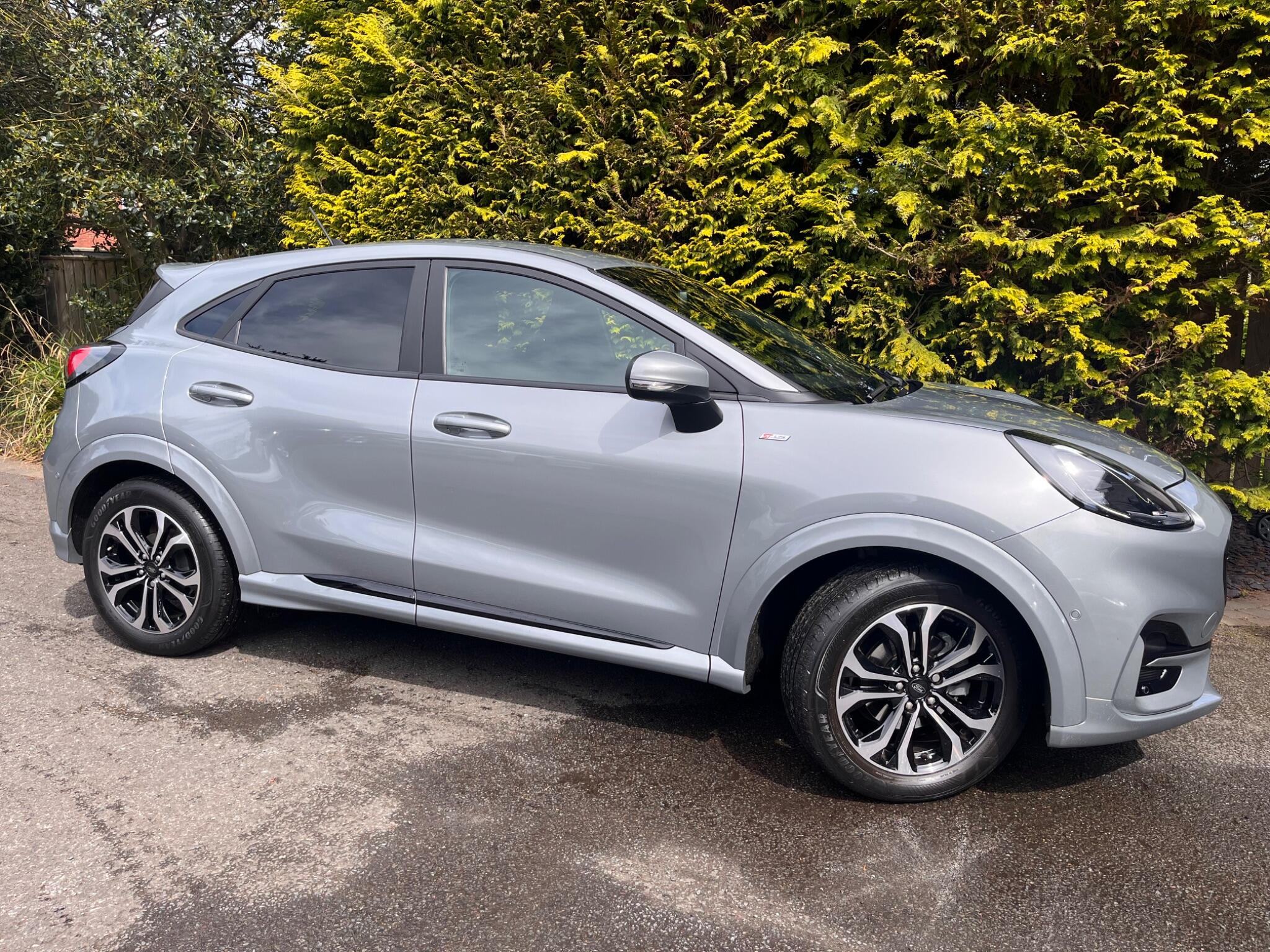 Ford Puma view 19