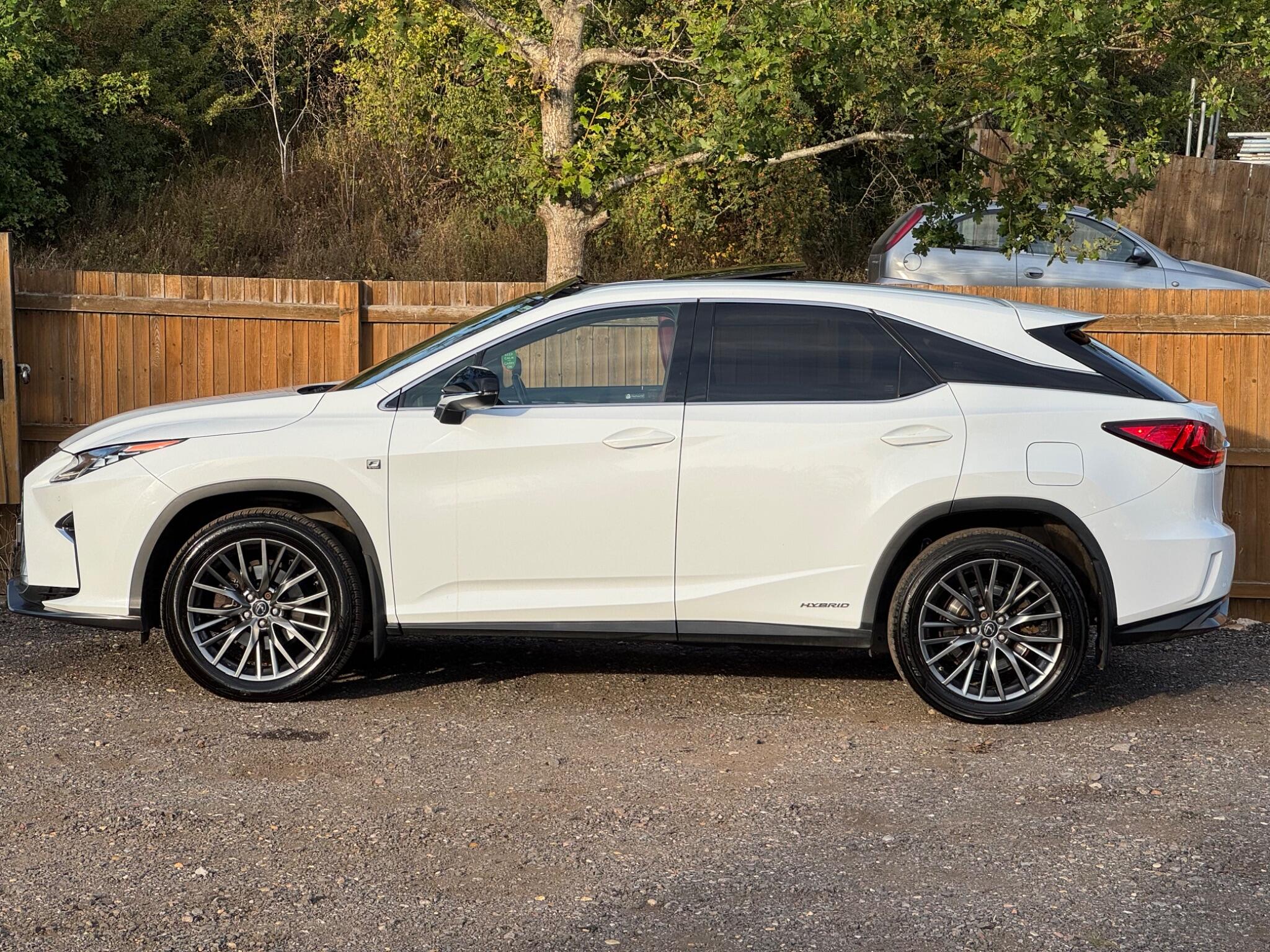 Lexus RX view 11