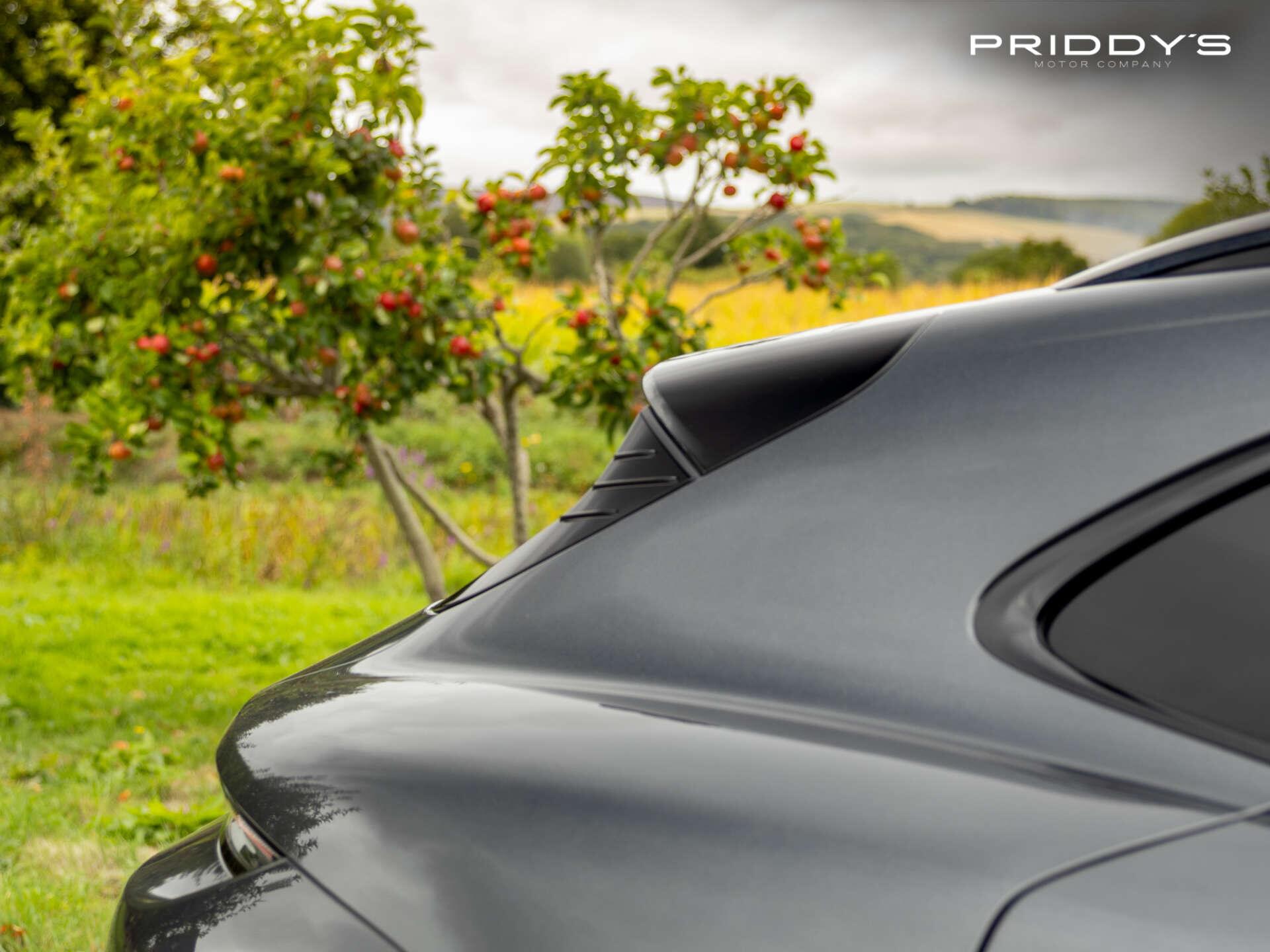 Porsche Taycan view 16