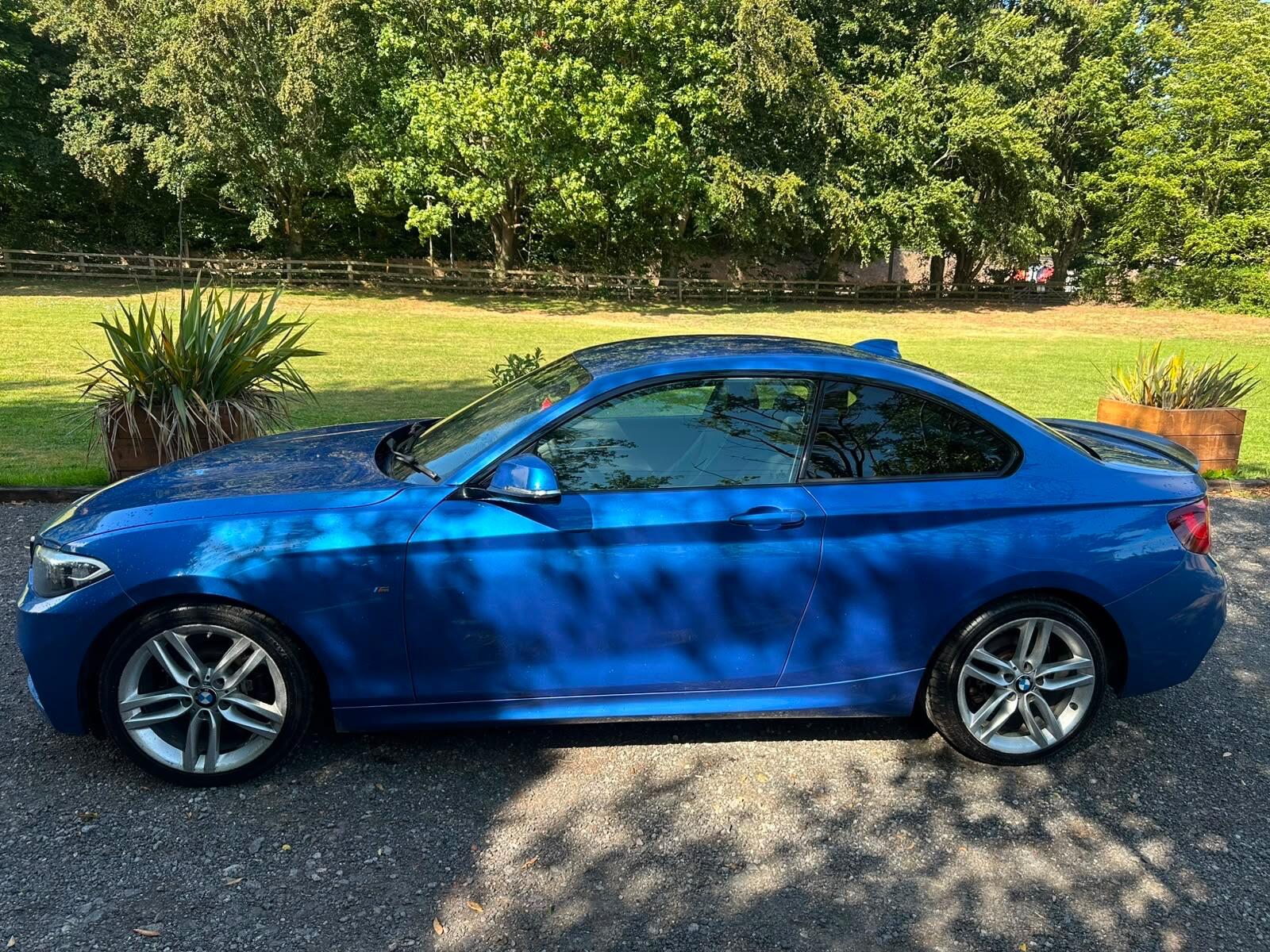 BMW 2 Series view 10