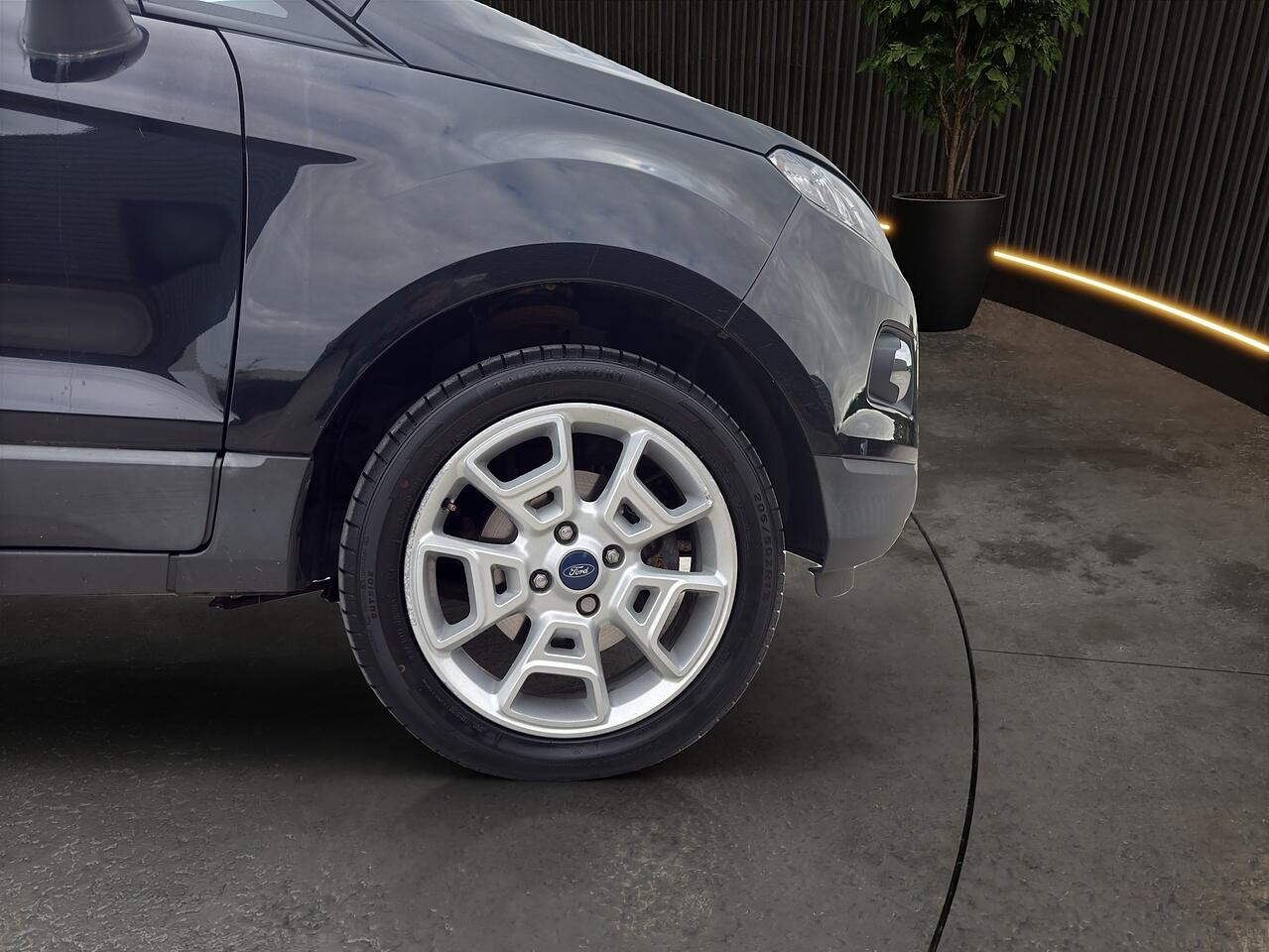 Ford Ecosport view 10