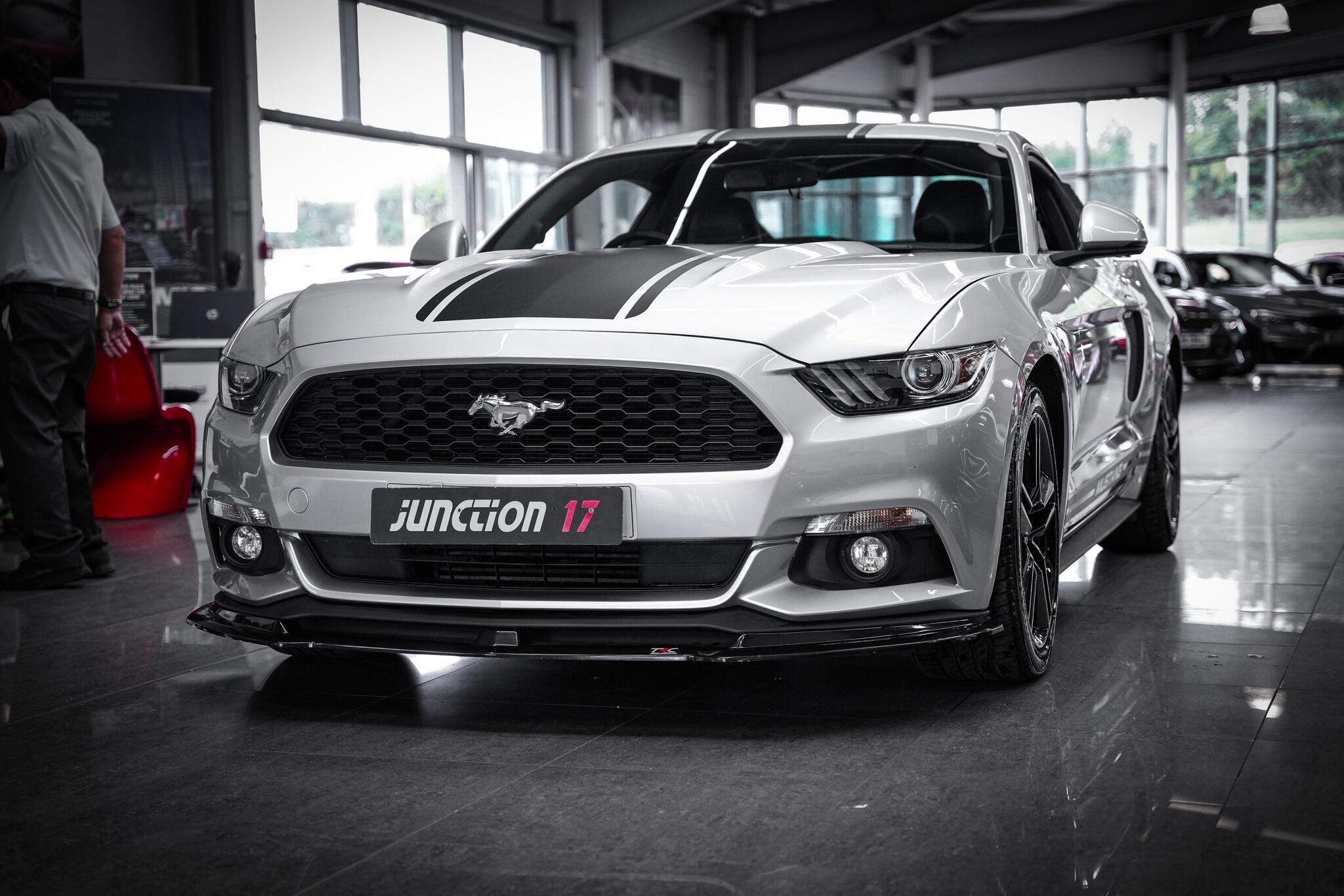 Ford Mustang view 12