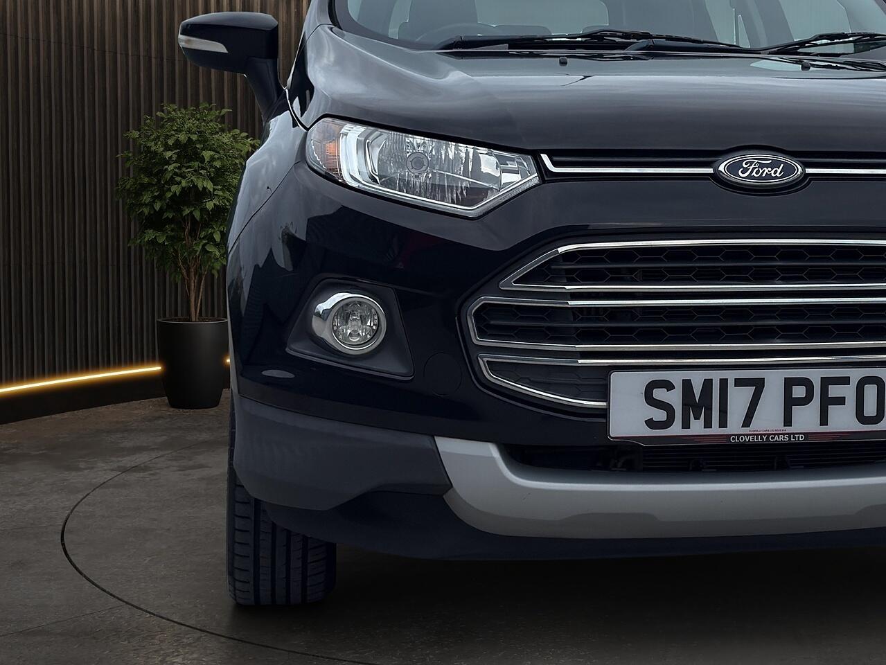Ford Ecosport view 6