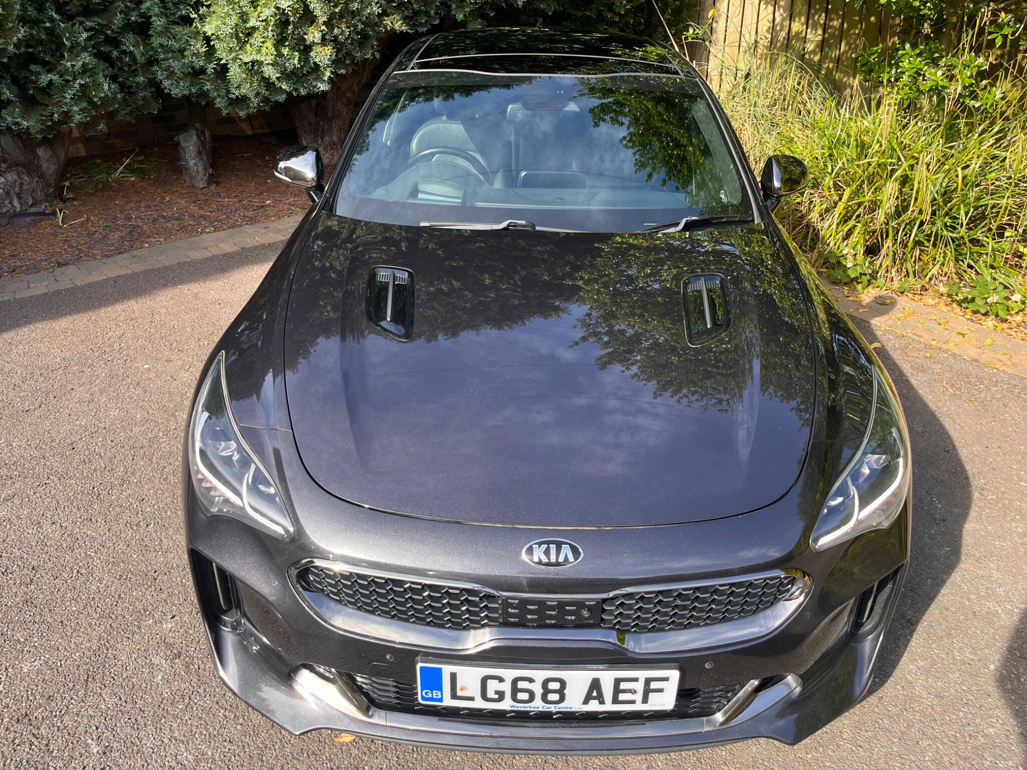 Kia Stinger view 24
