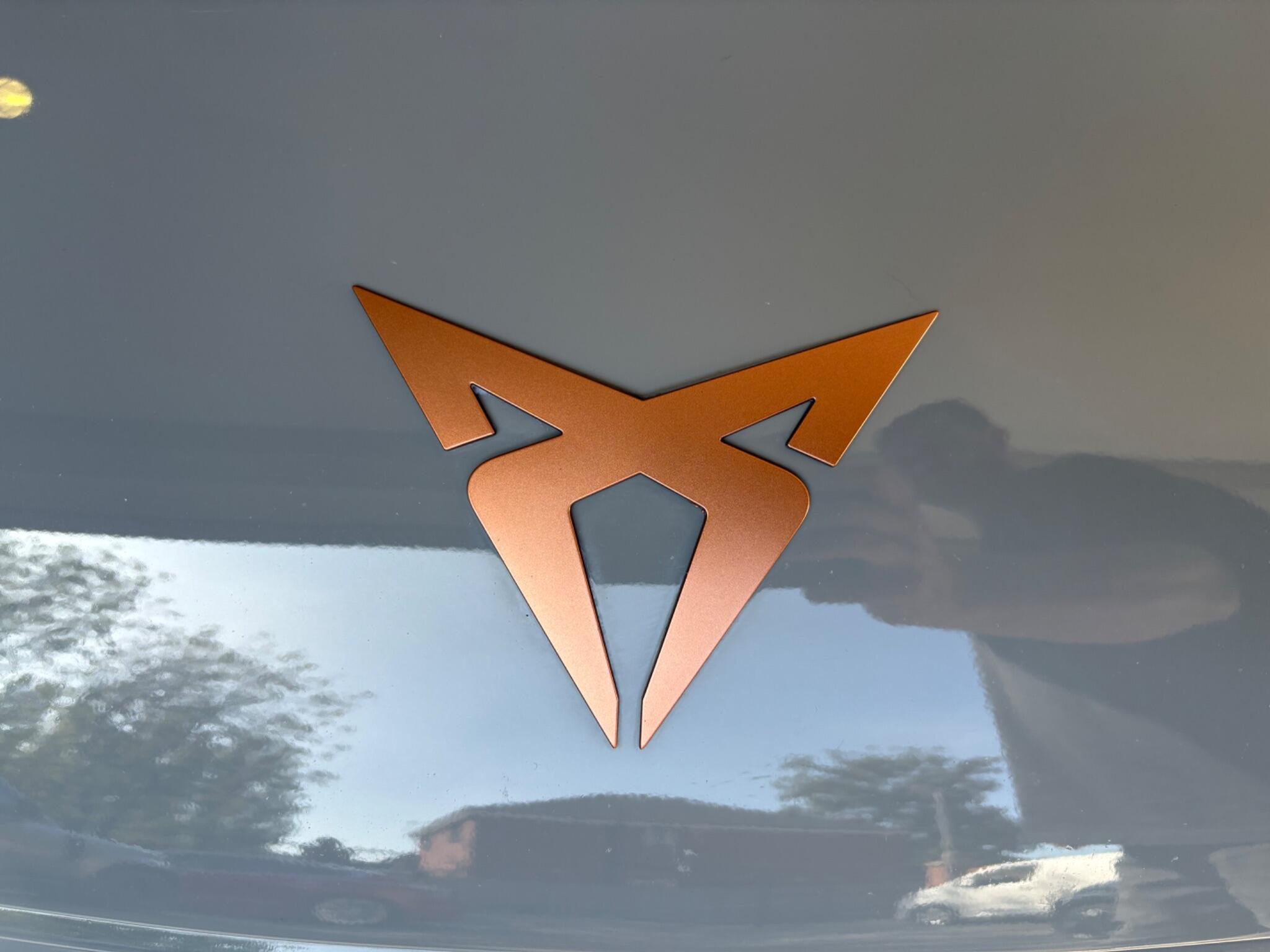 Cupra Born view 27