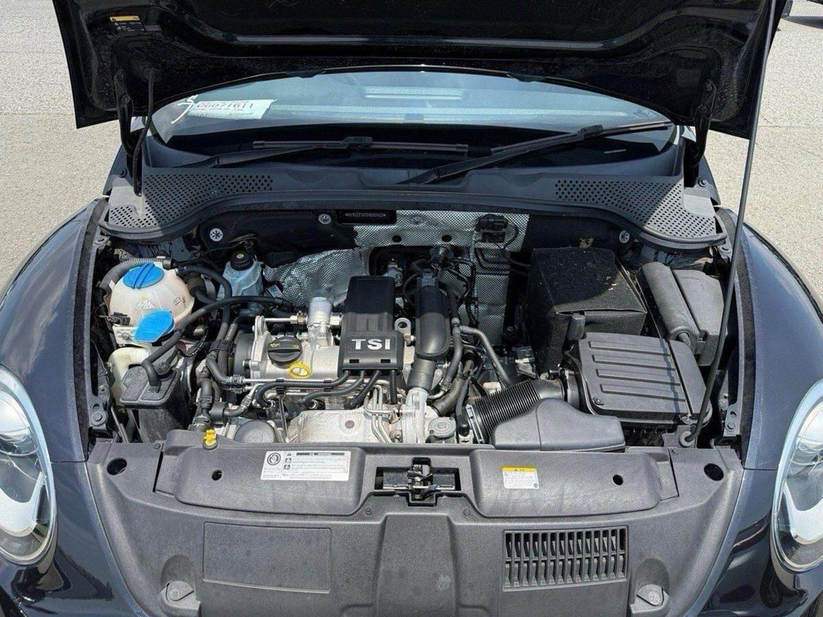 Volkswagen Beetle view 12