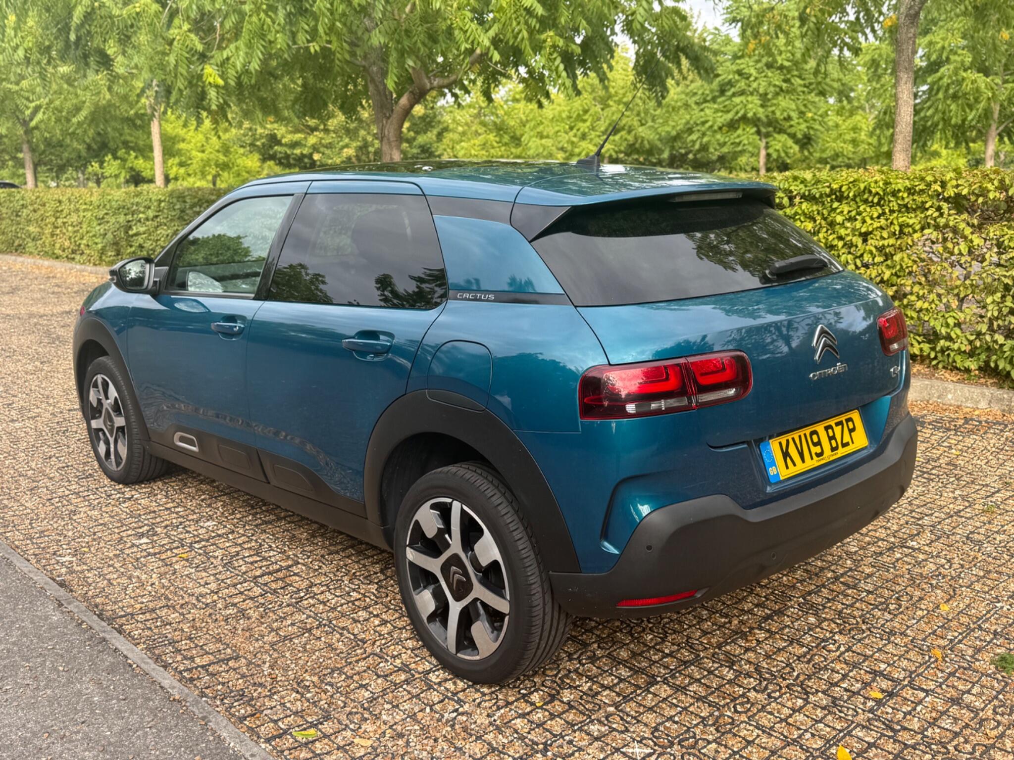 Citroen C4 Cactus view 23