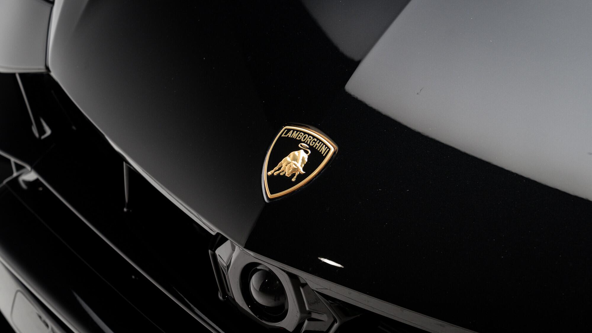 Lamborghini Urus view 14