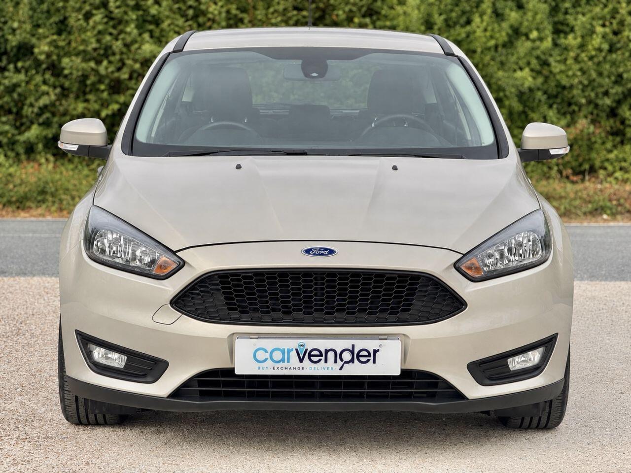Ford Focus view 5