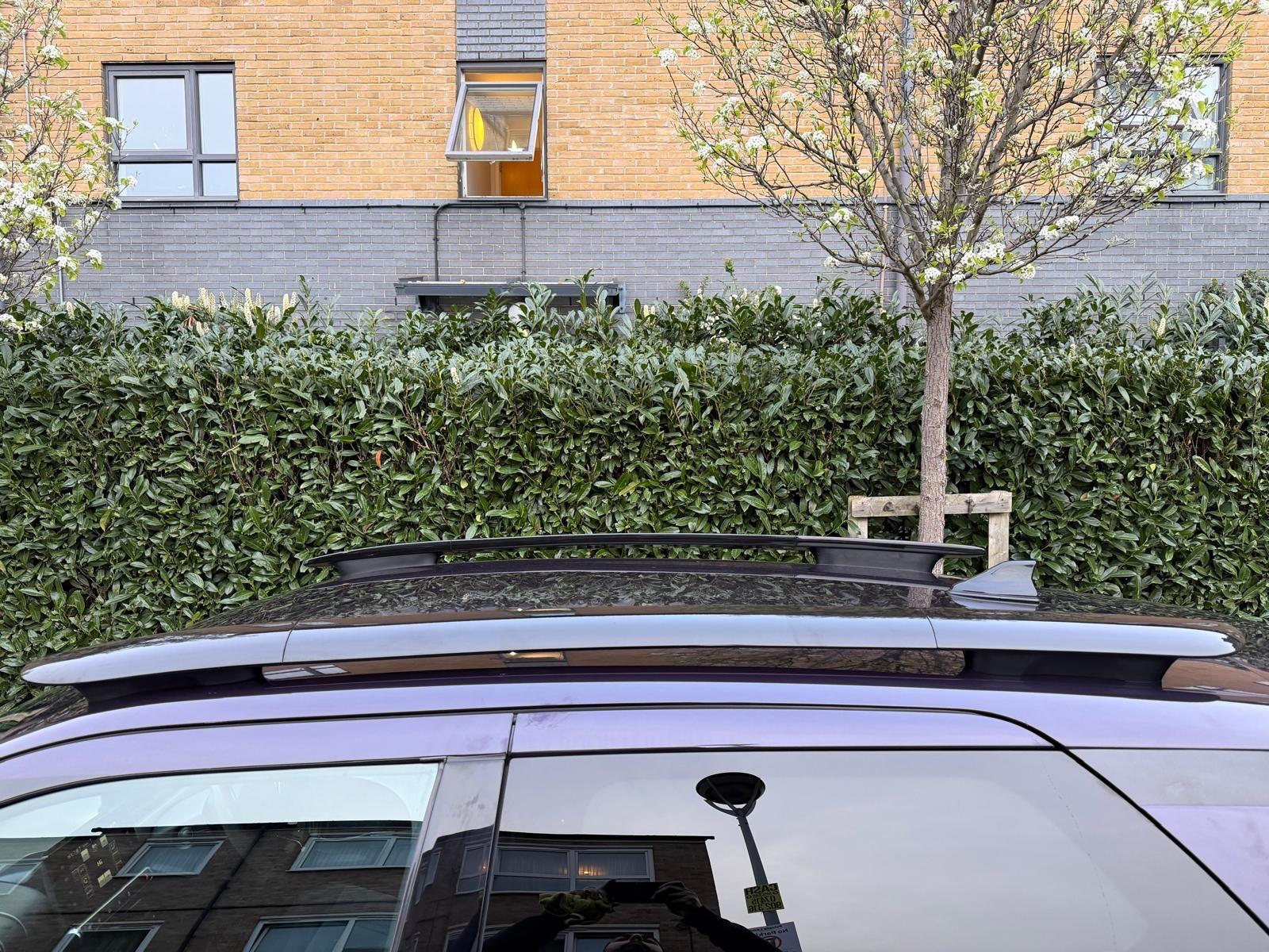 Citroen C4 Cactus view 32