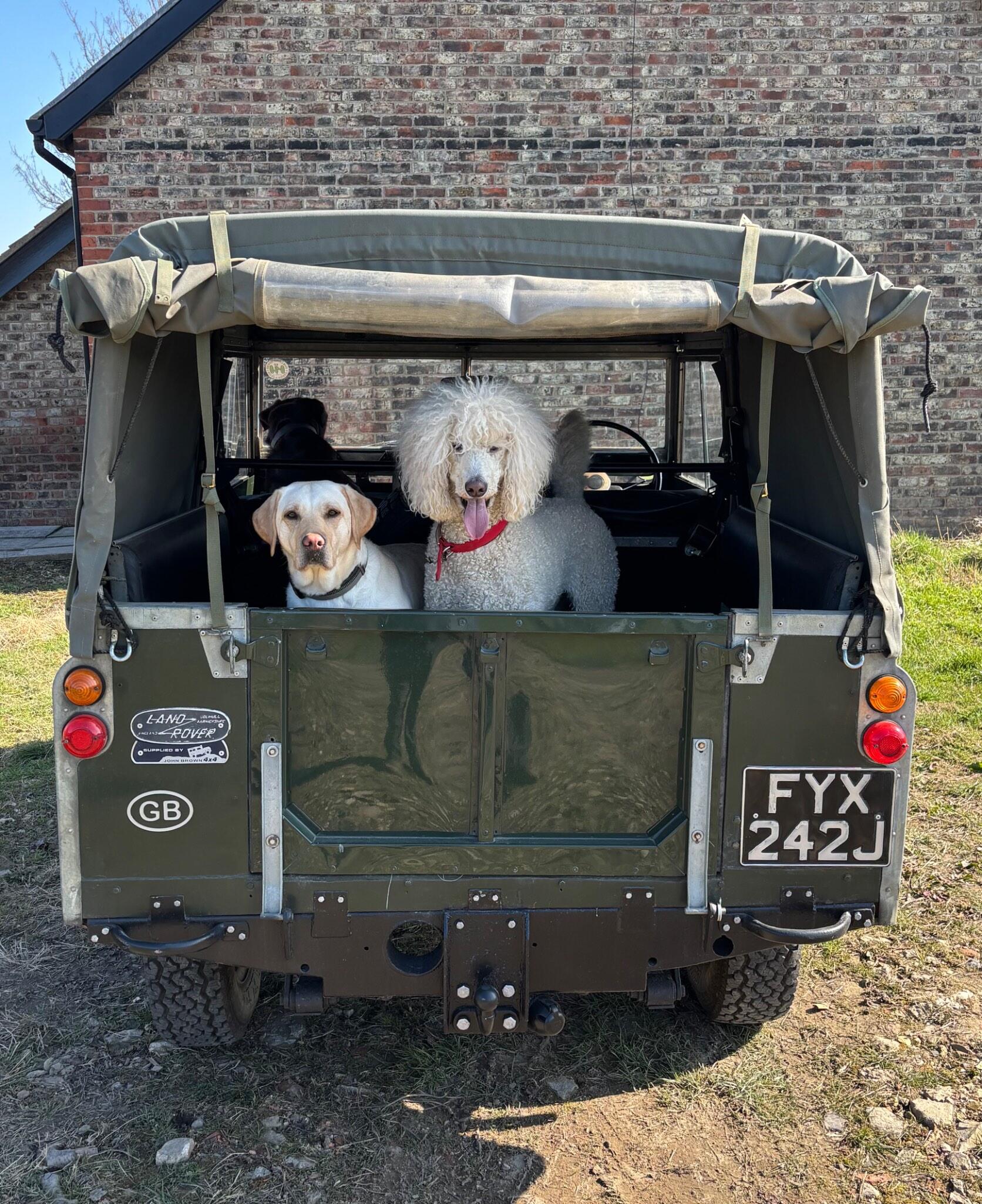 Land Rover Series II