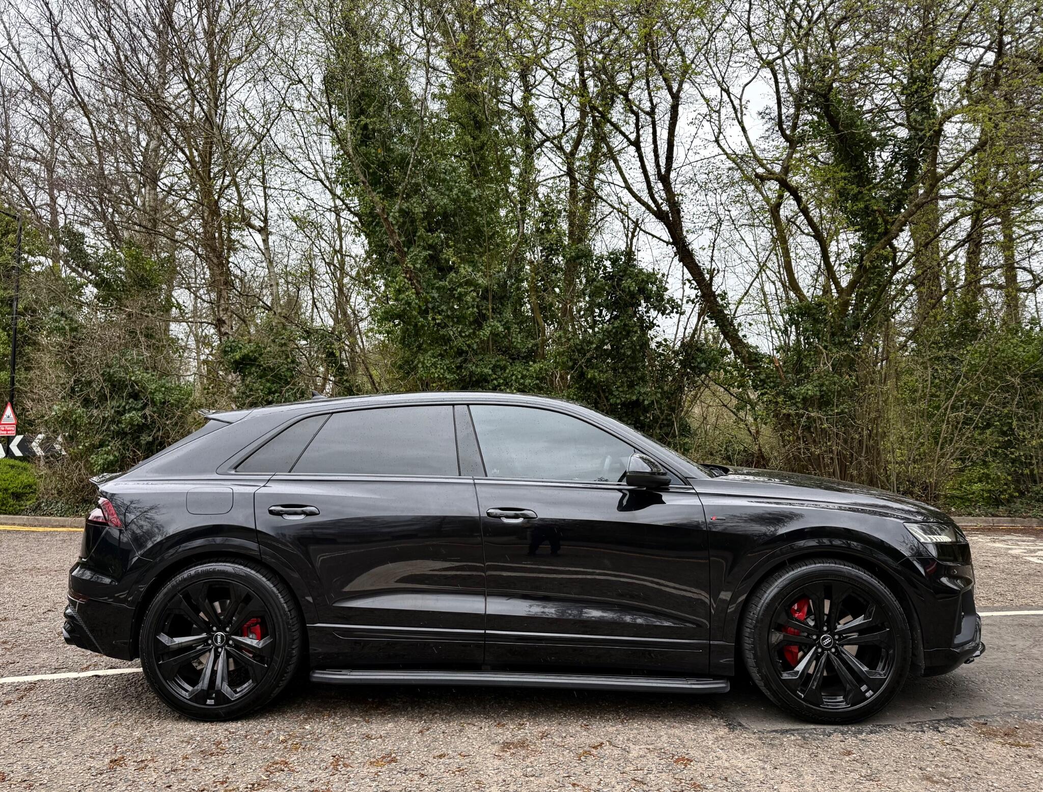 Audi Q8 view 17