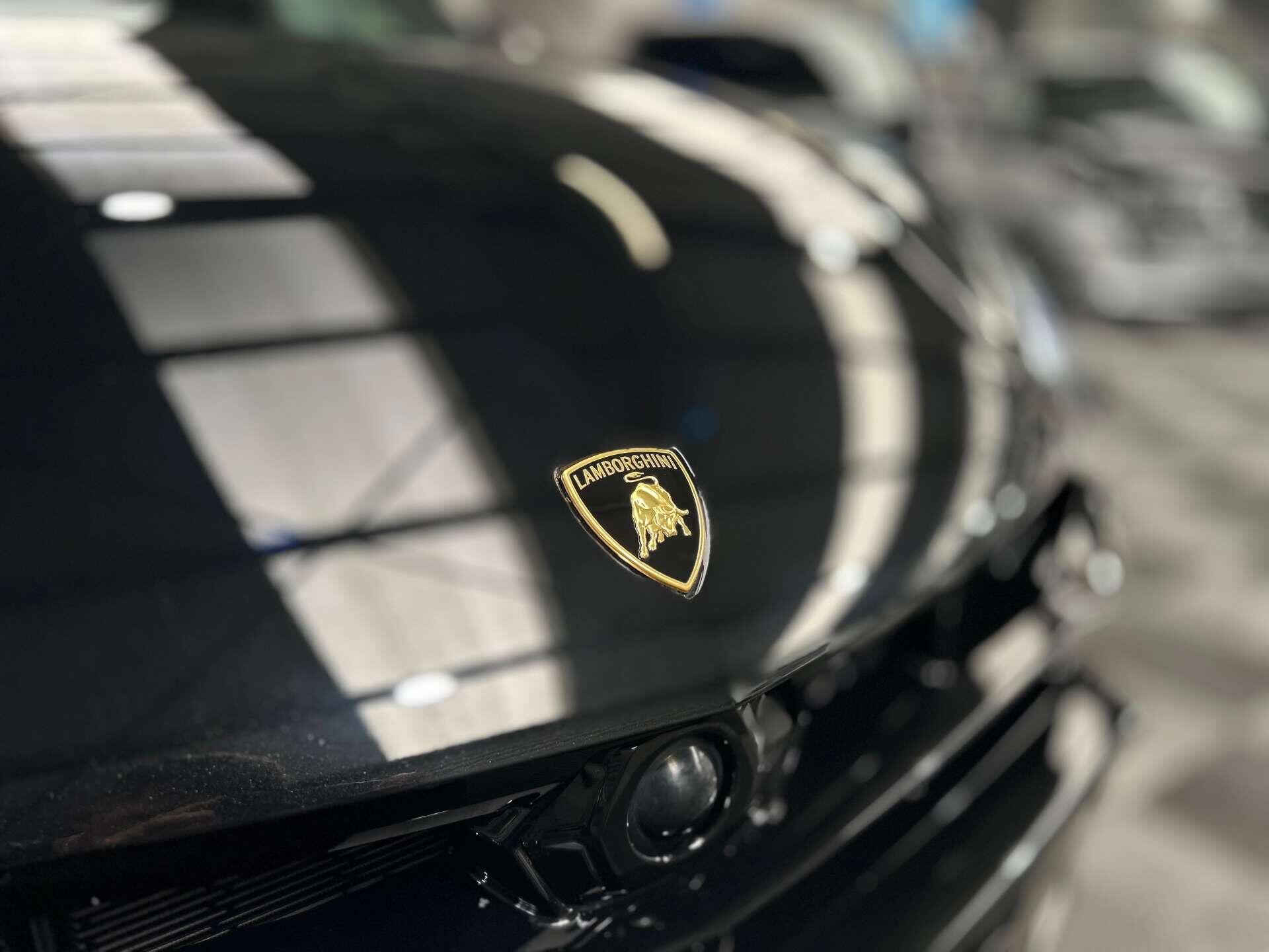 Lamborghini Urus view 6