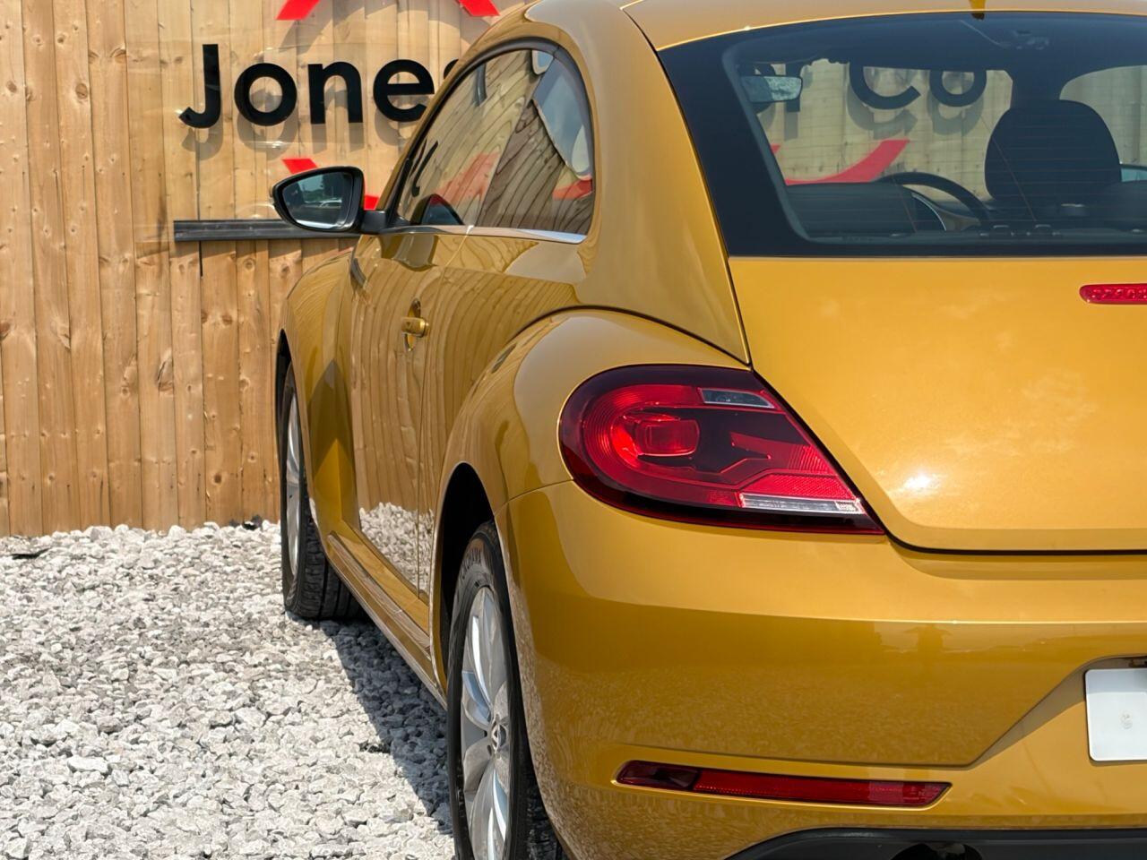 Volkswagen Beetle view 9