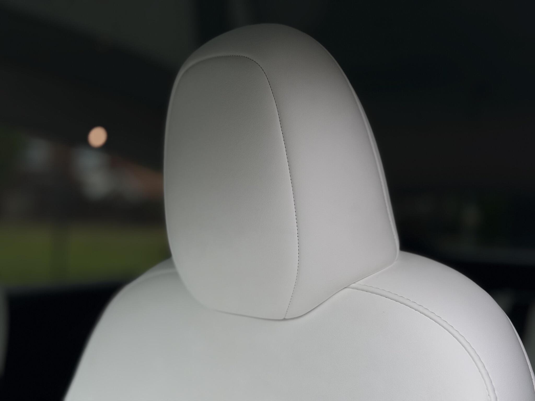 Tesla Model Y view 18