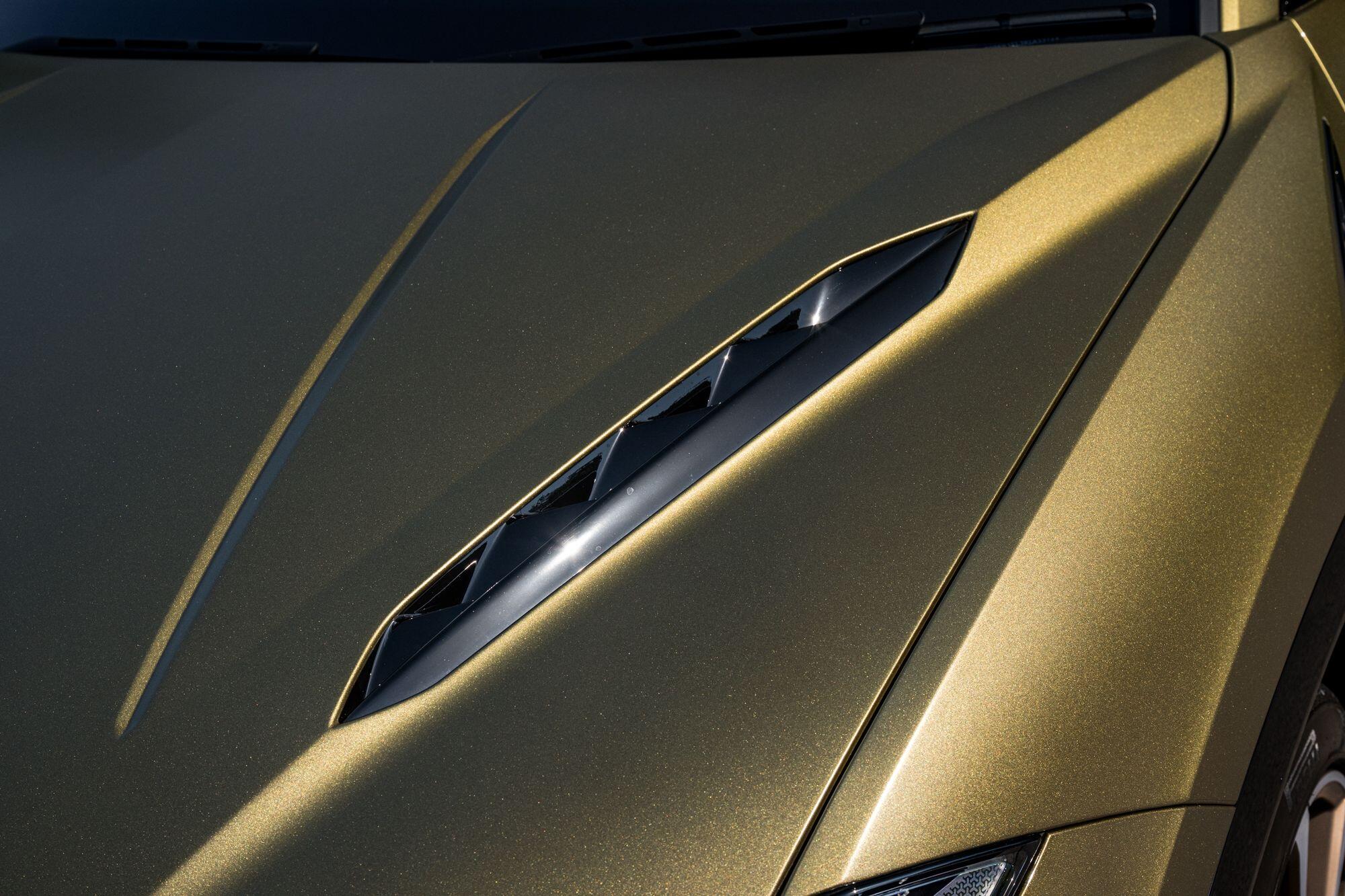 Lamborghini Urus view 14