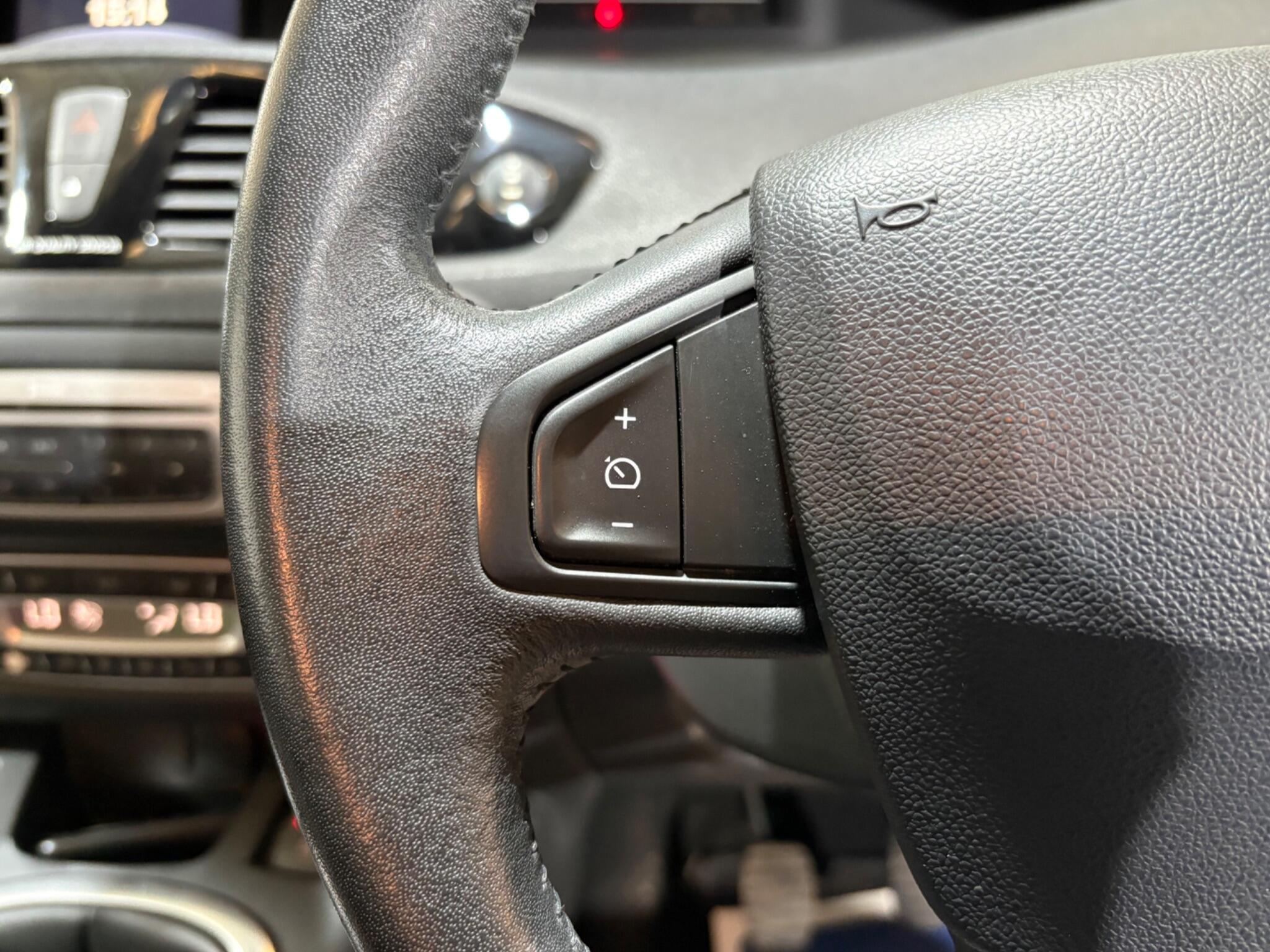 Renault Scenic view 29