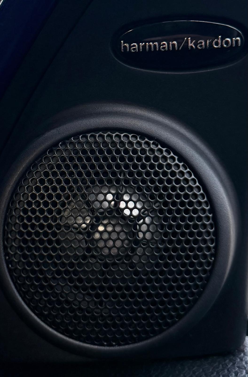 Mini Paceman view 20