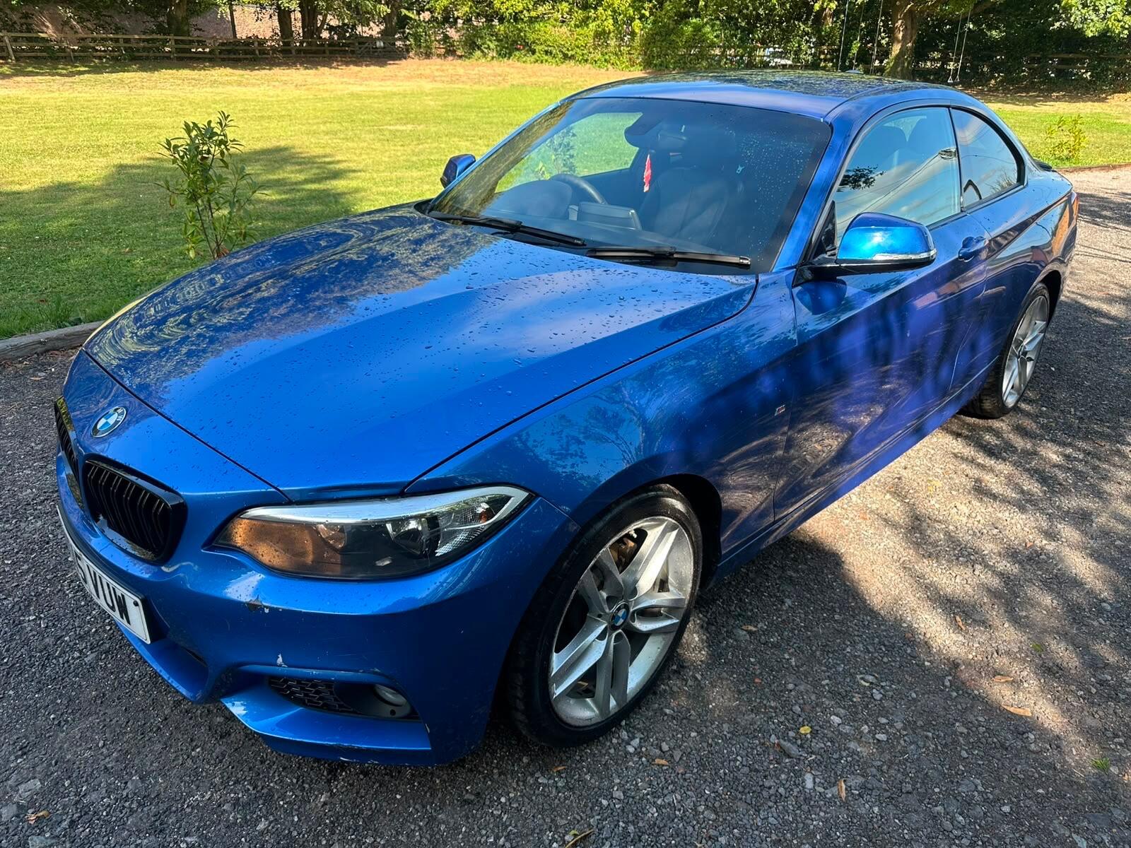BMW 2 Series view 8