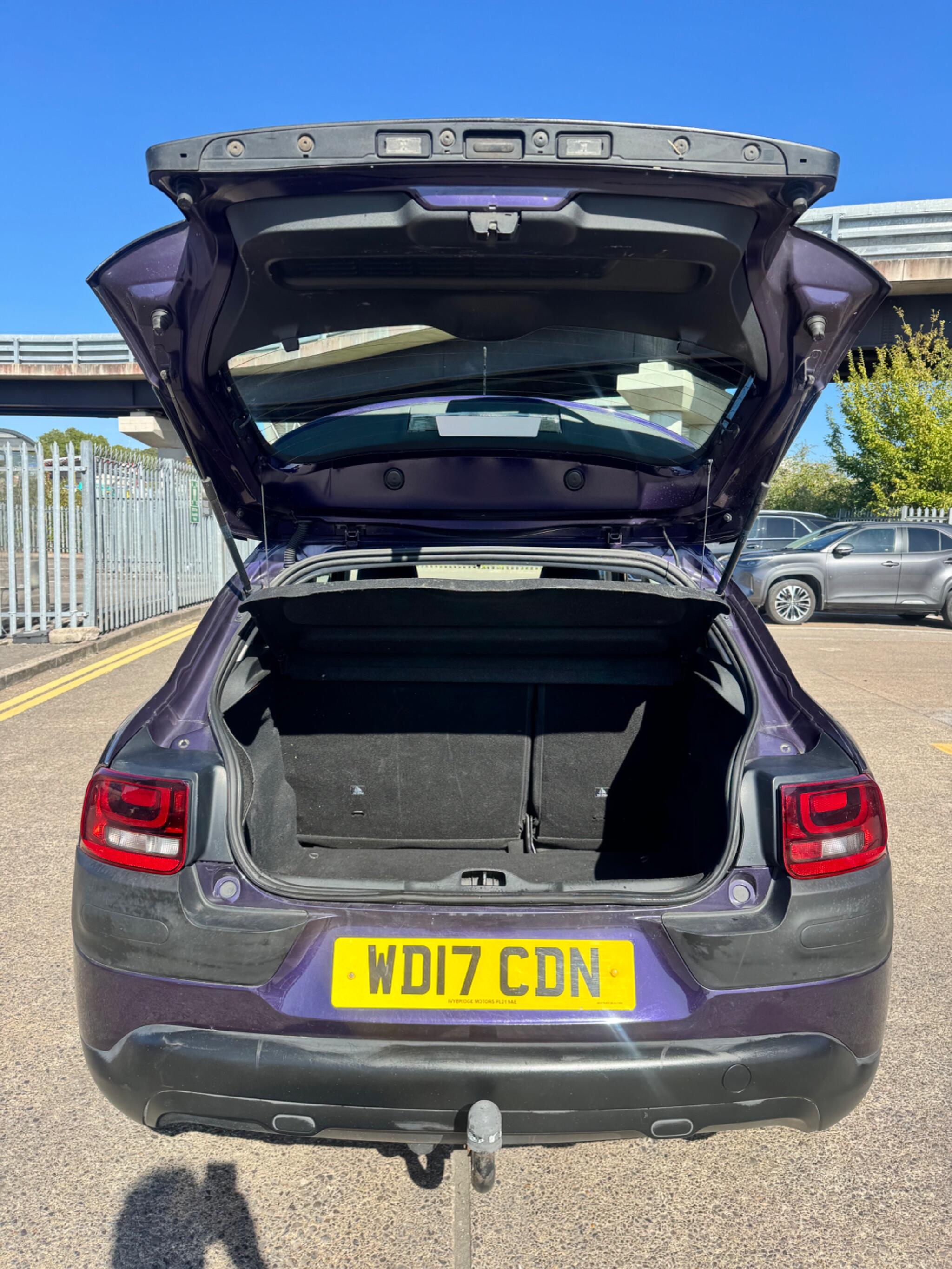 Citroen C4 Cactus view 43