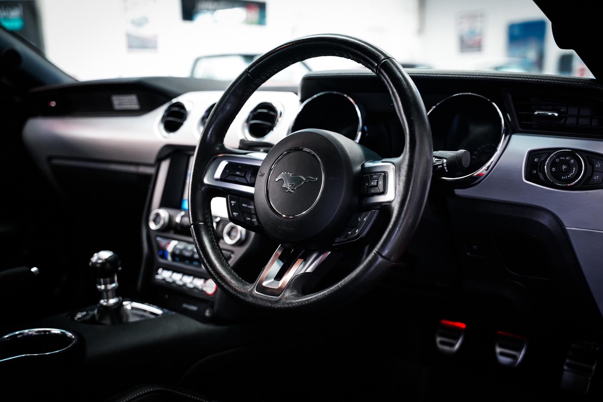 Ford Mustang view 18