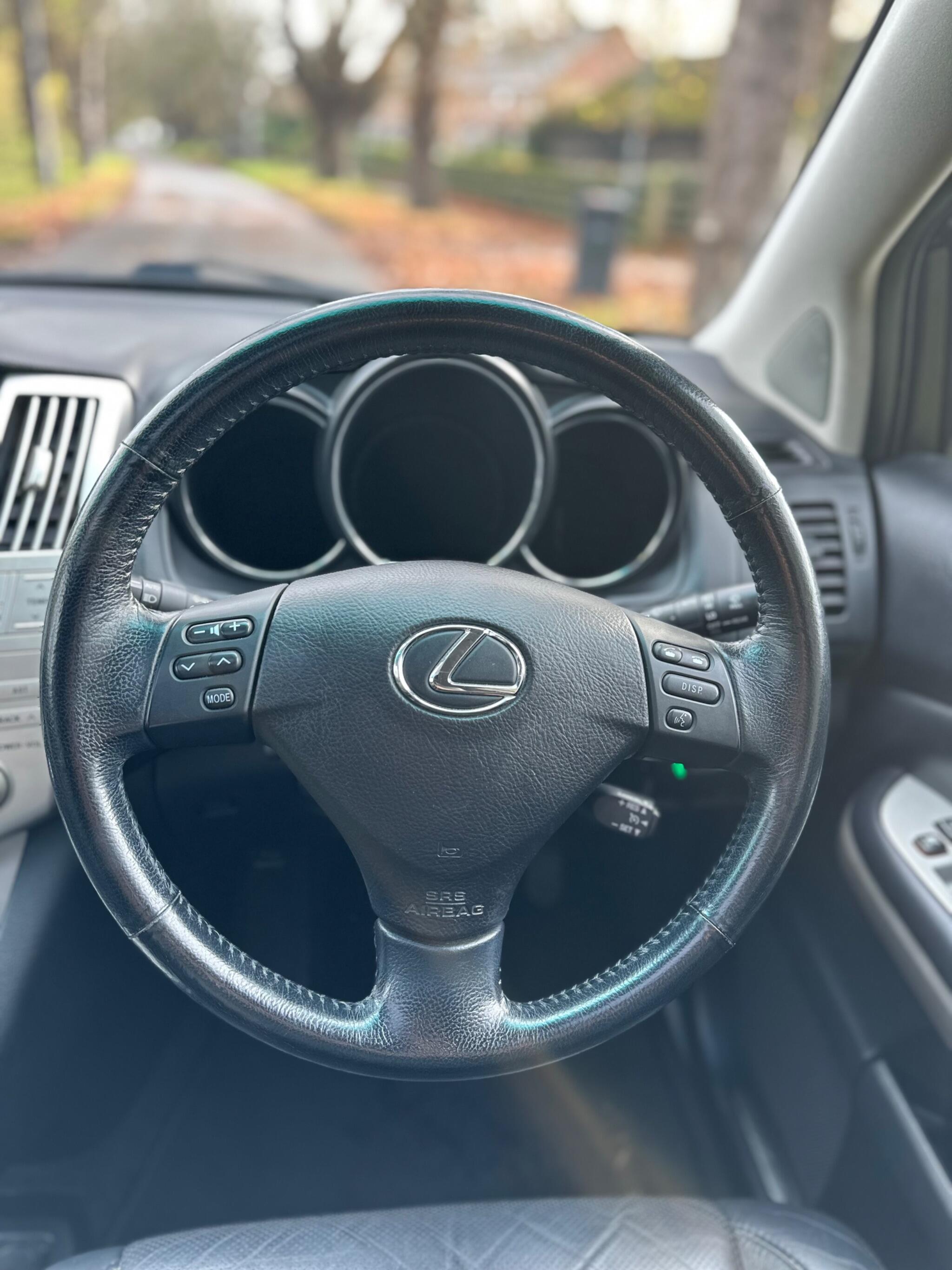 2009 Lexus RX image 30