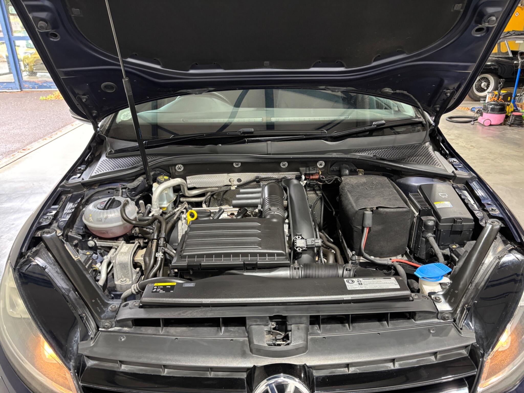 Volkswagen Golf view 66