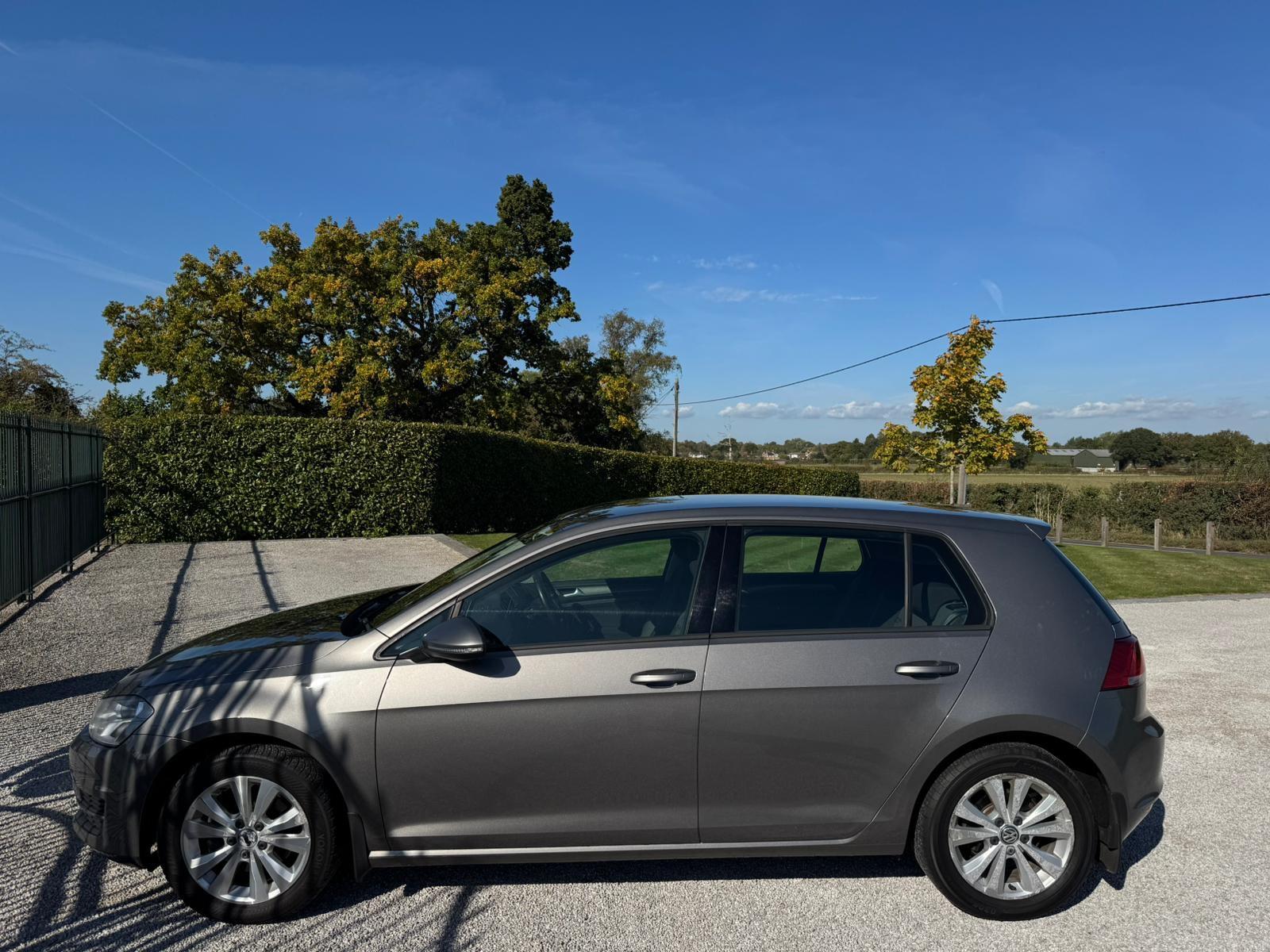 2013 Volkswagen Golf image 8