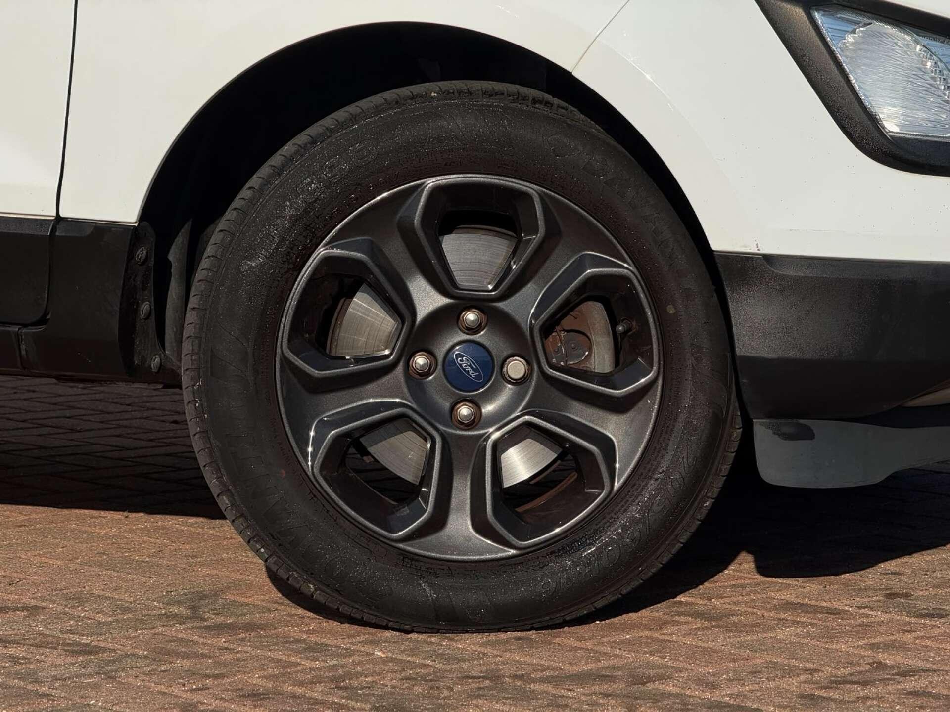 Ford Ecosport view 15