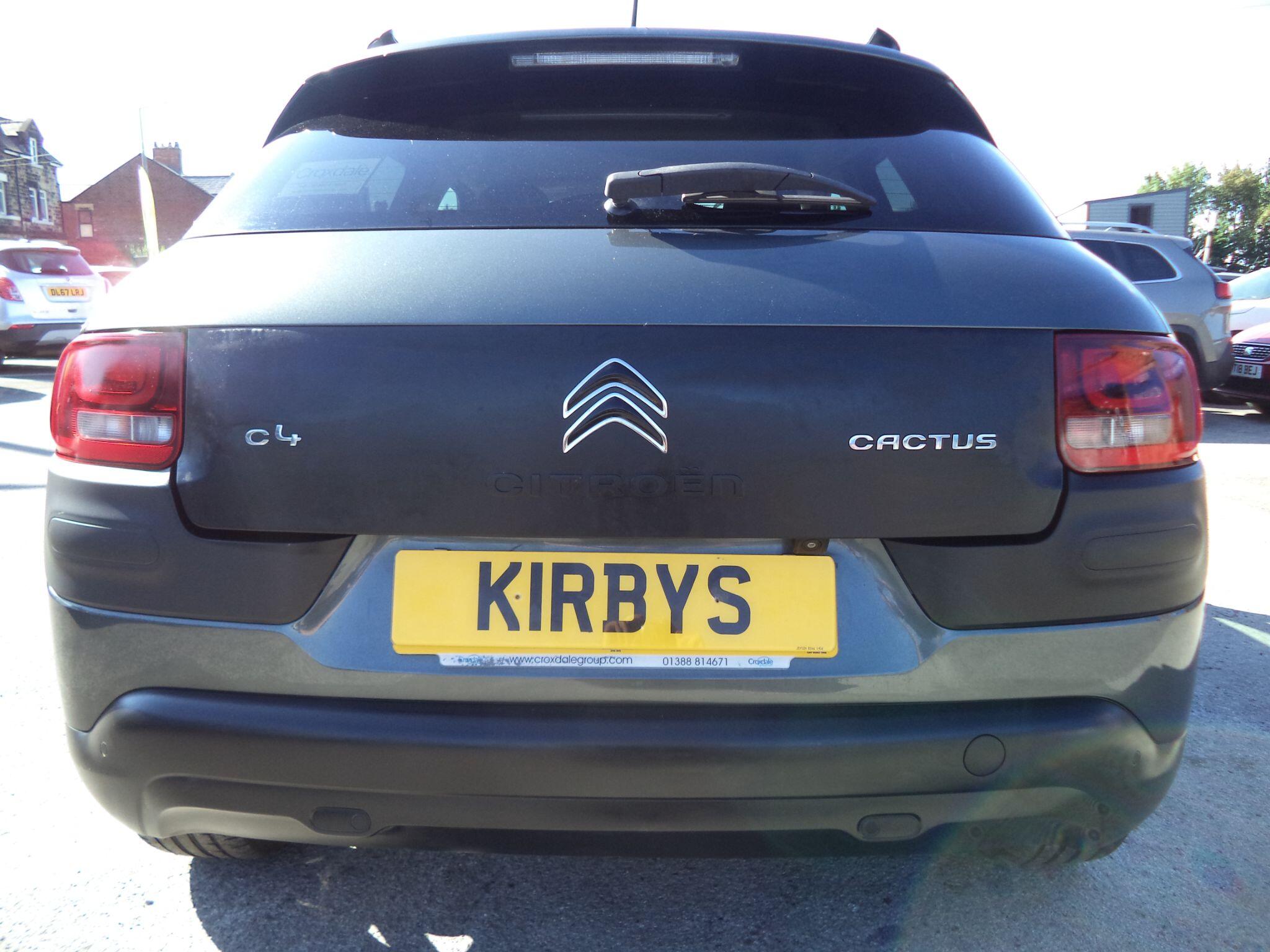 Citroen C4 Cactus view 16