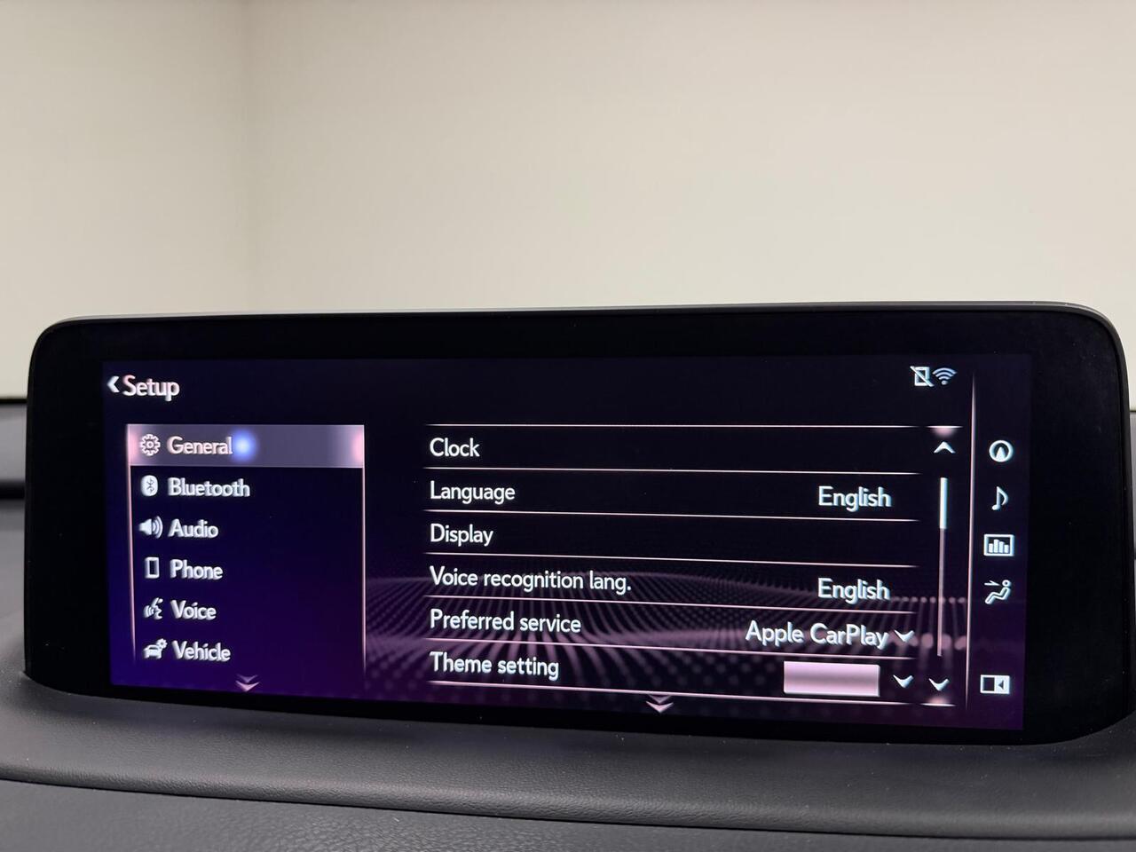 Lexus RX view 28