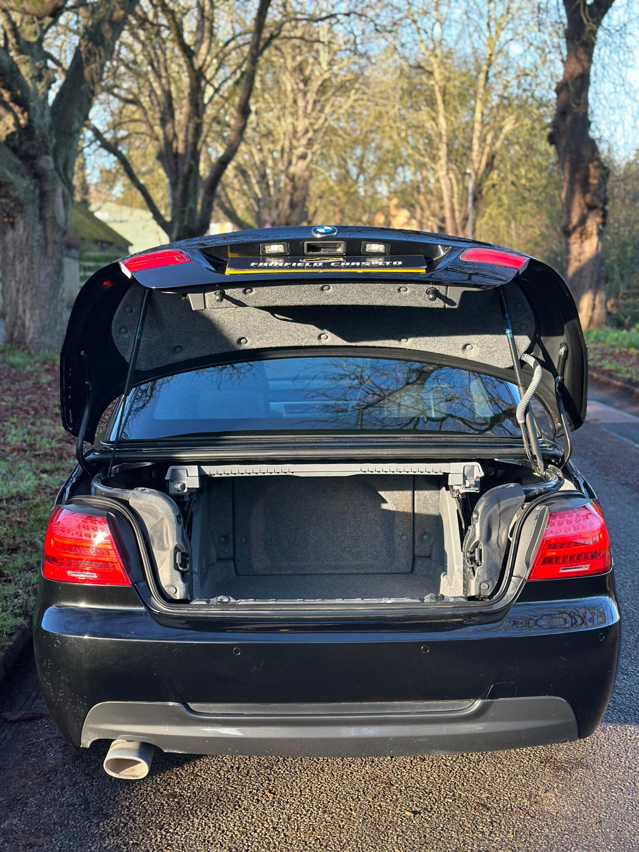 2010 BMW 3 Series image 7